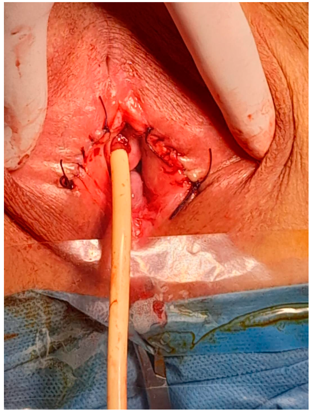 Diagnostics 14 02659 g006