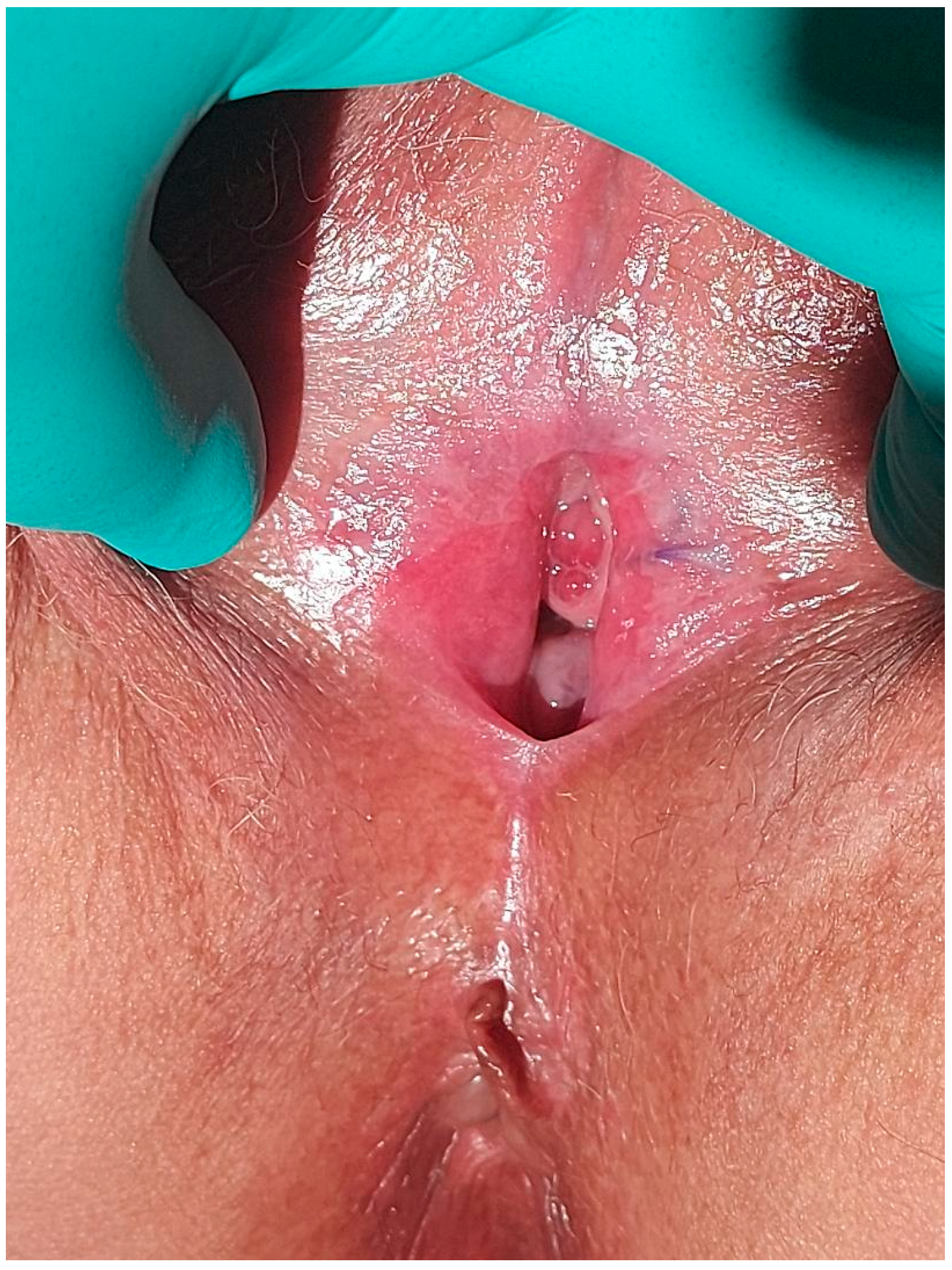 Diagnostics 14 02659 g008