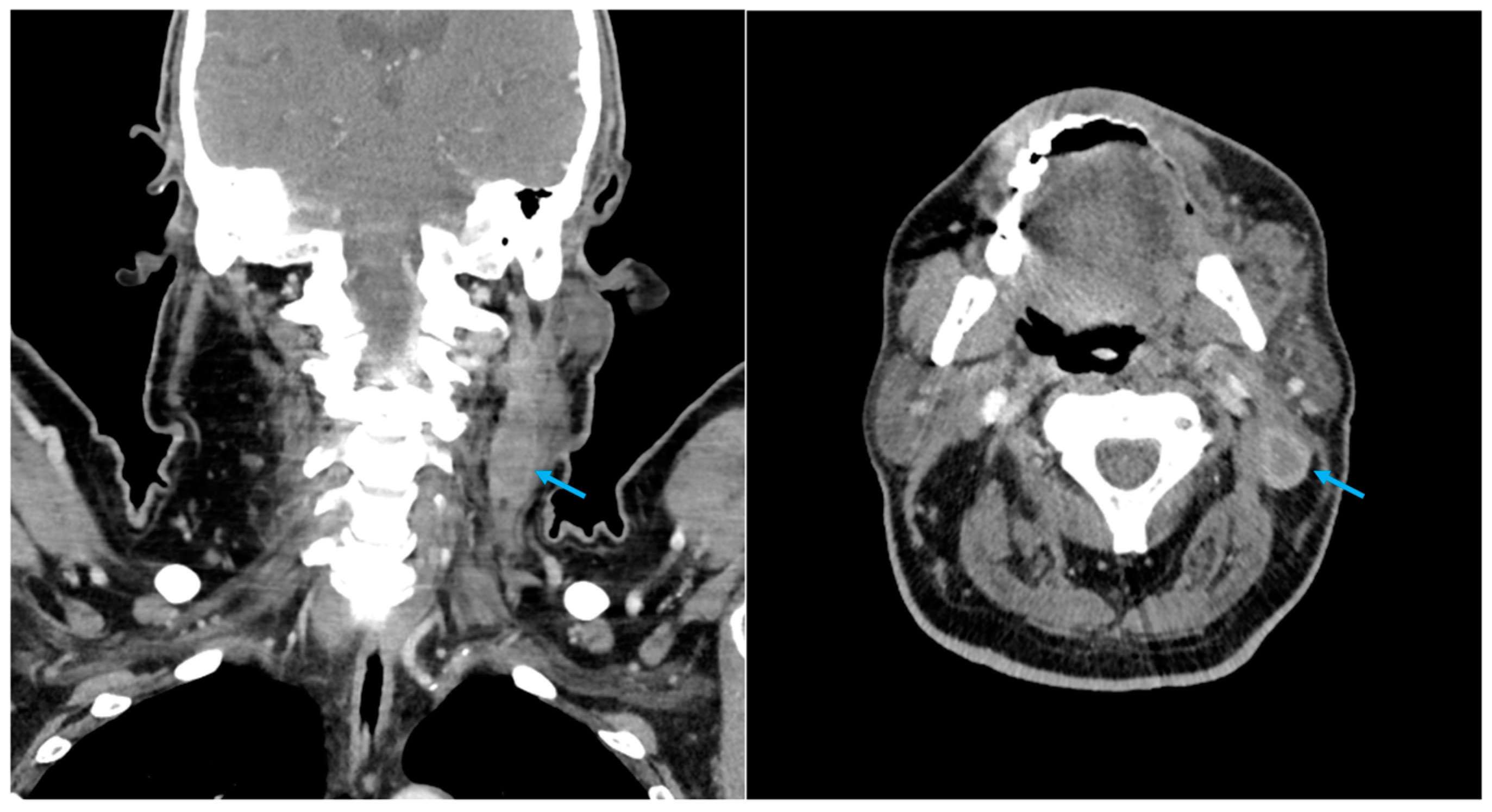 Diagnostics 14 02667 g001