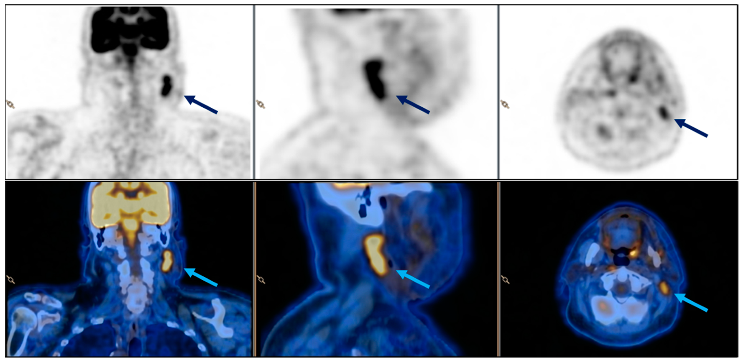 Diagnostics 14 02667 g002