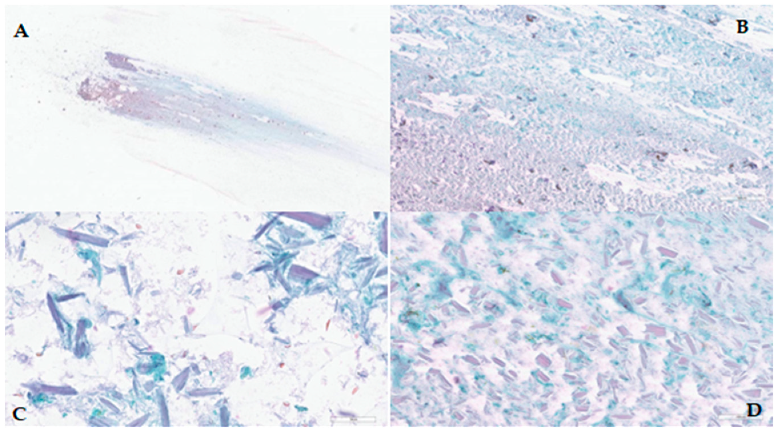 Diagnostics 14 02667 g003