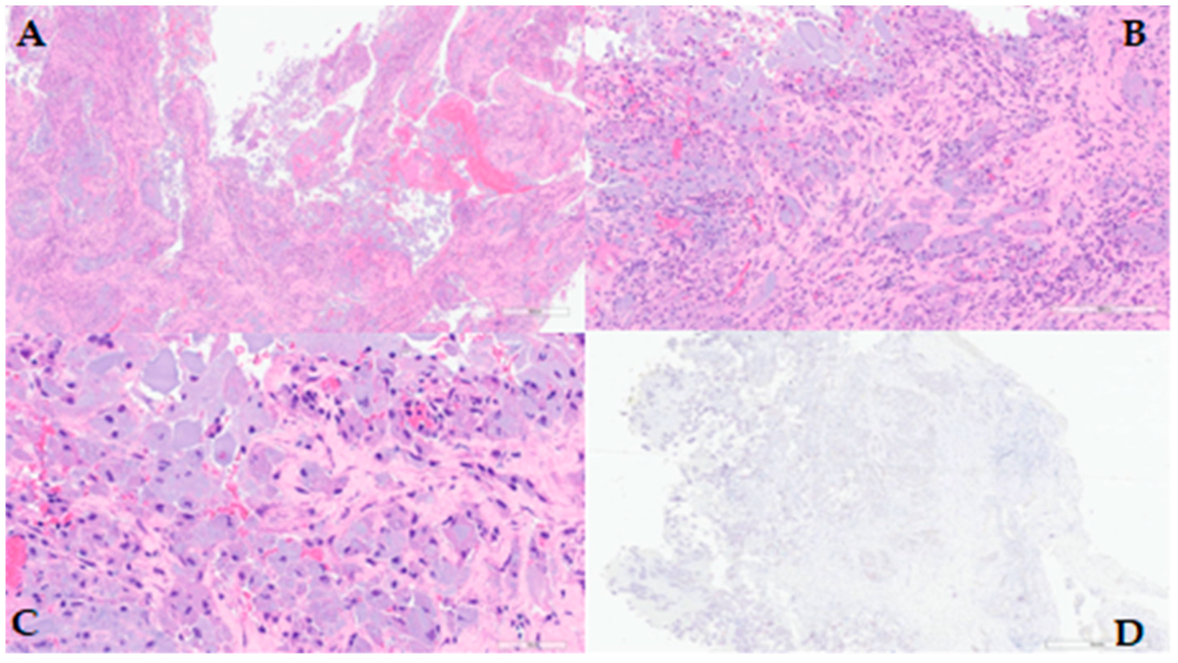 Diagnostics 14 02667 g006