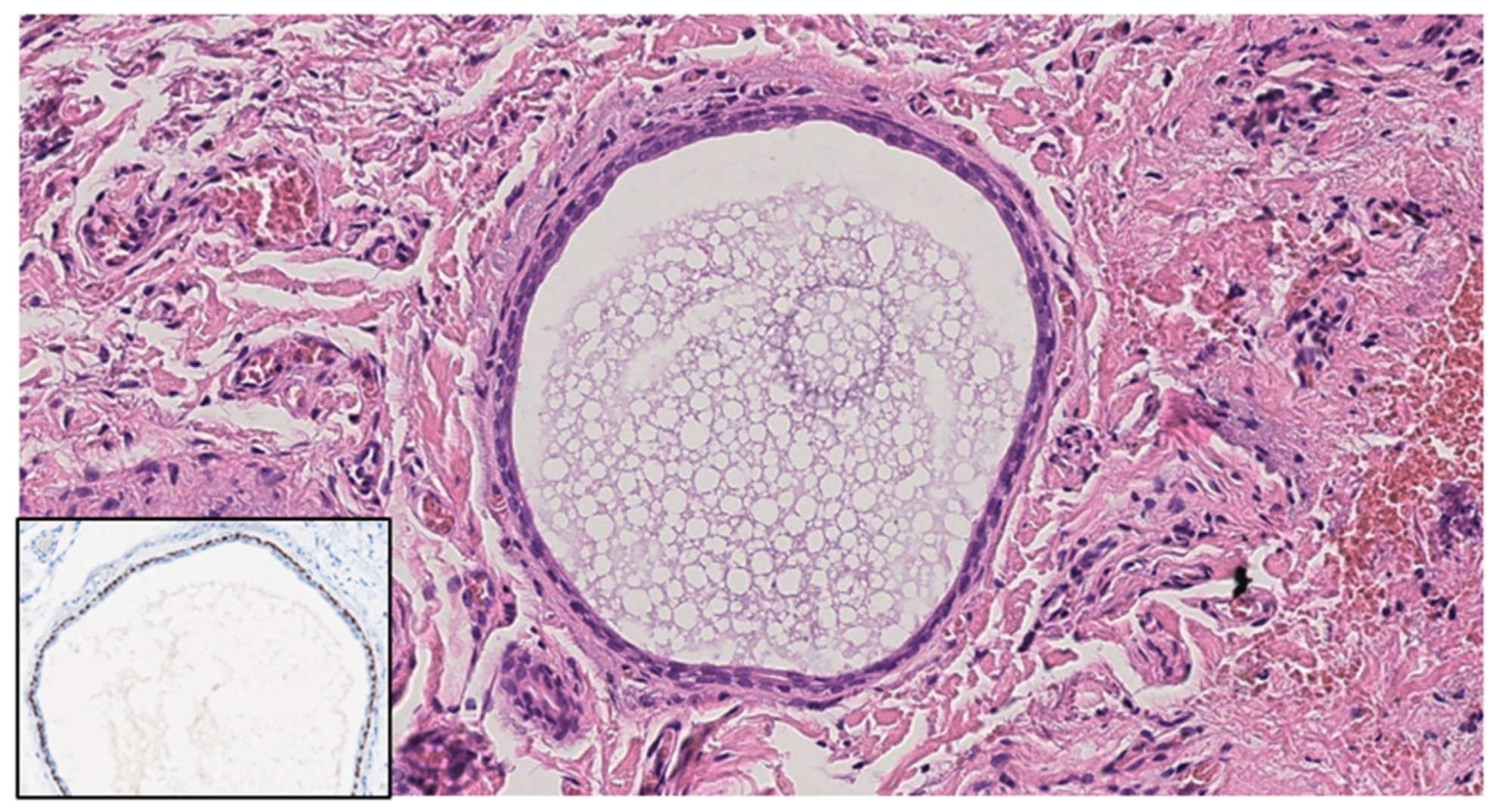 Diagnostics 14 02671 g003