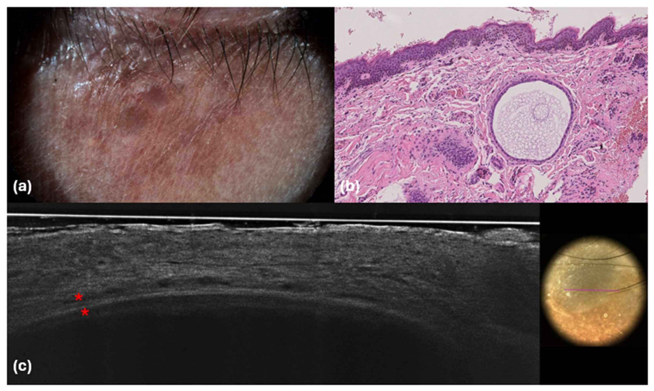 Diagnostics 14 02671 g004