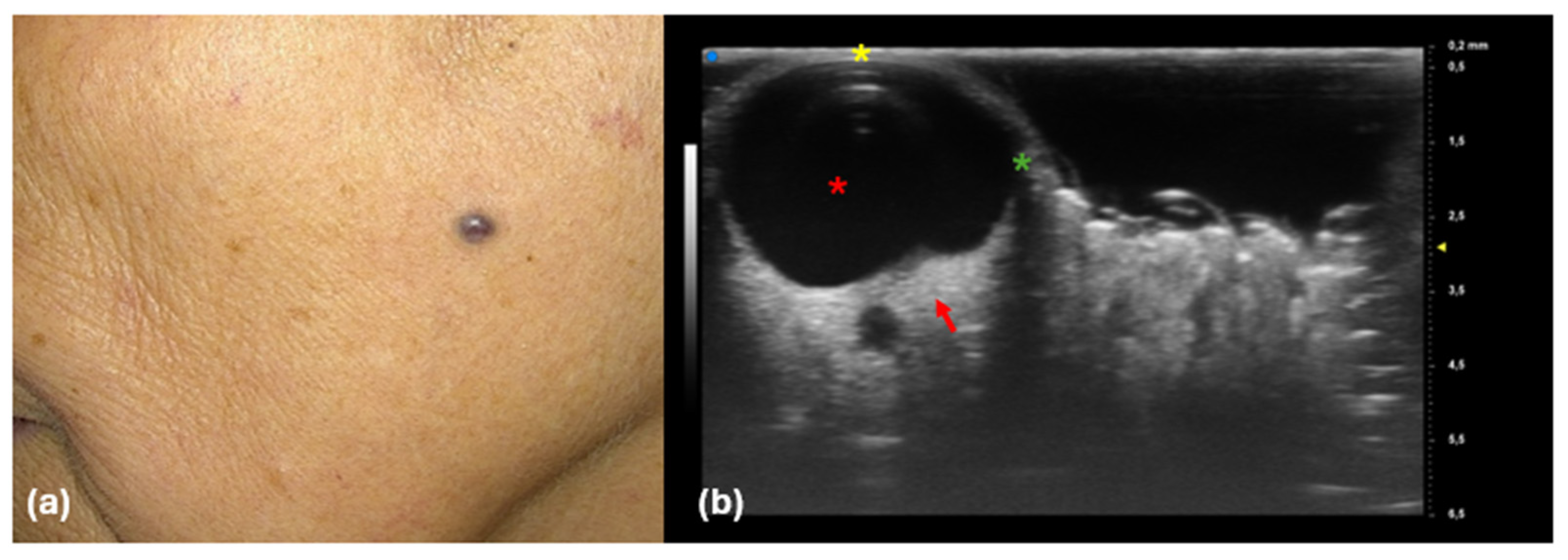 Diagnostics 14 02671 g006