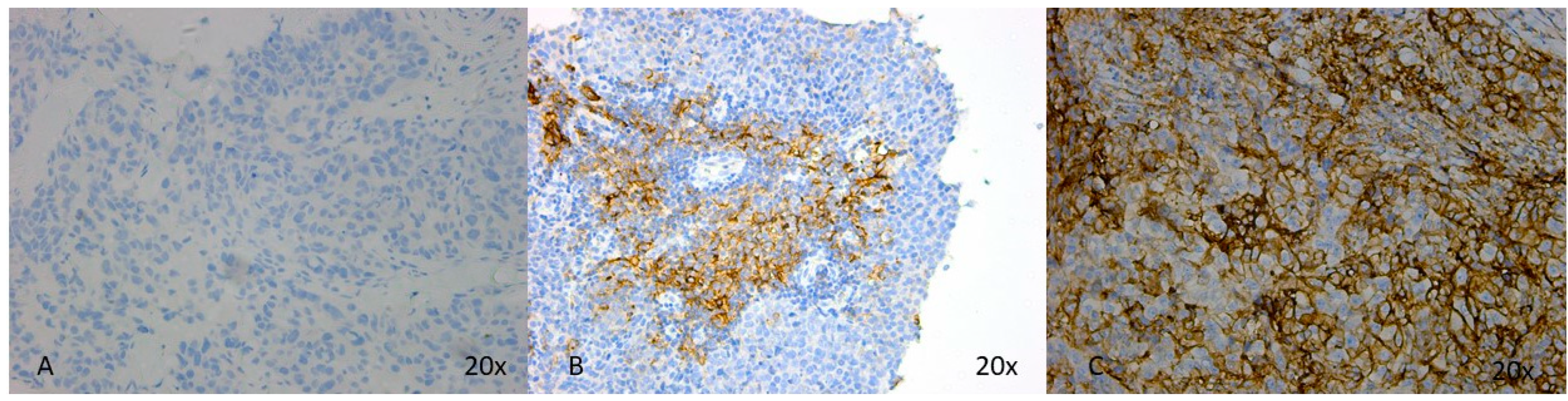 Diagnostics 14 02672 g001