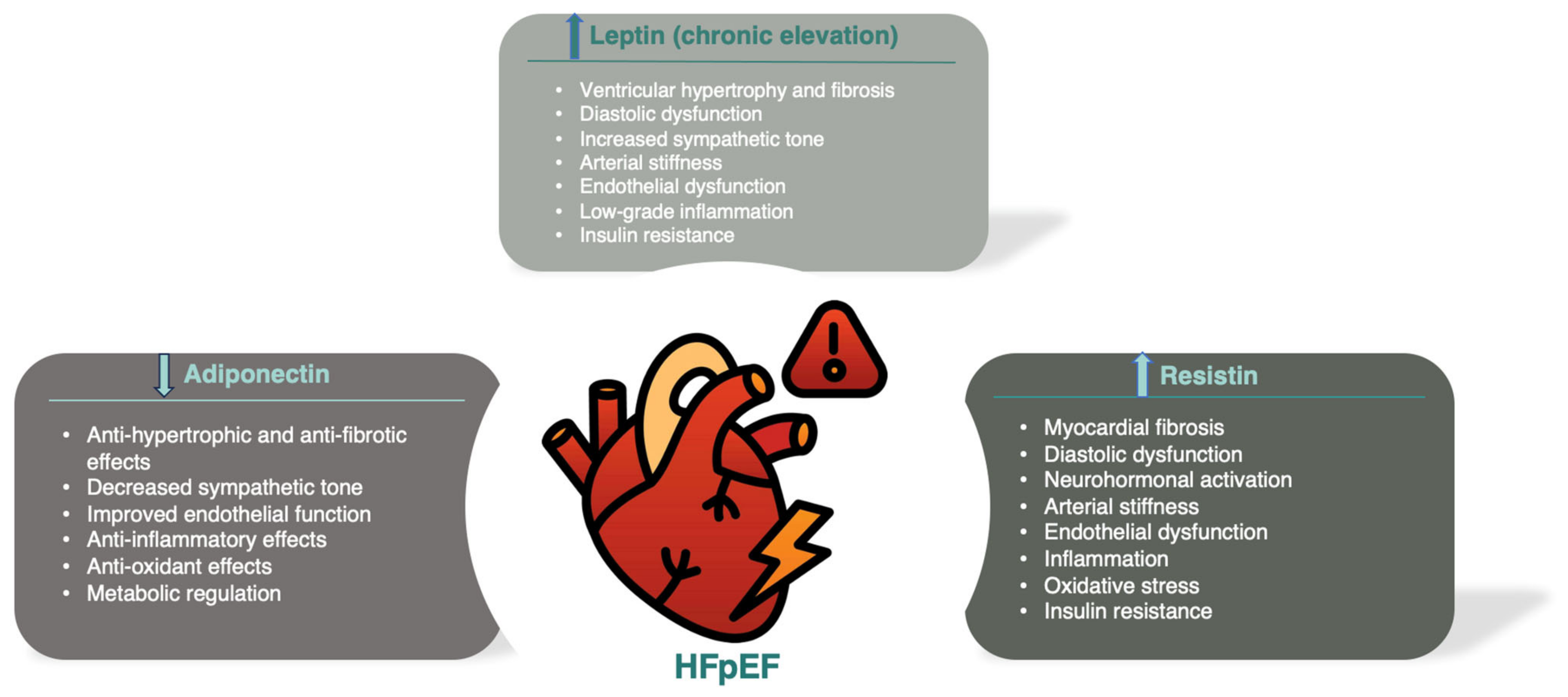 Diagnostics 14 02677 g001 Diagnostics 14 02677 g001