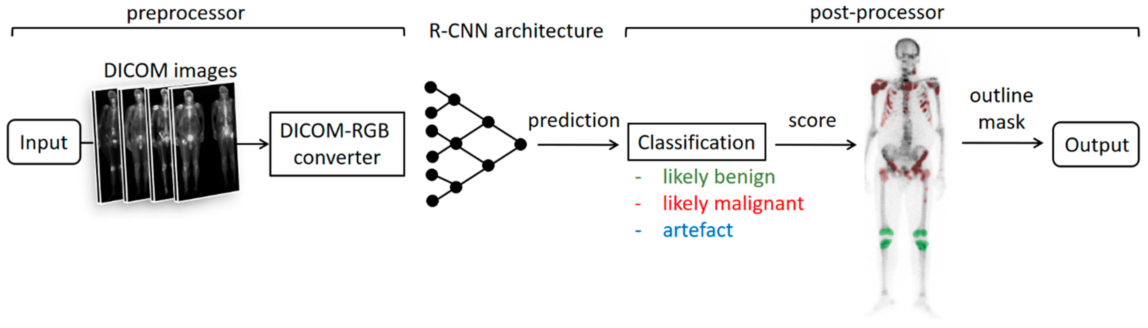 Diagnostics 14 02686 g001