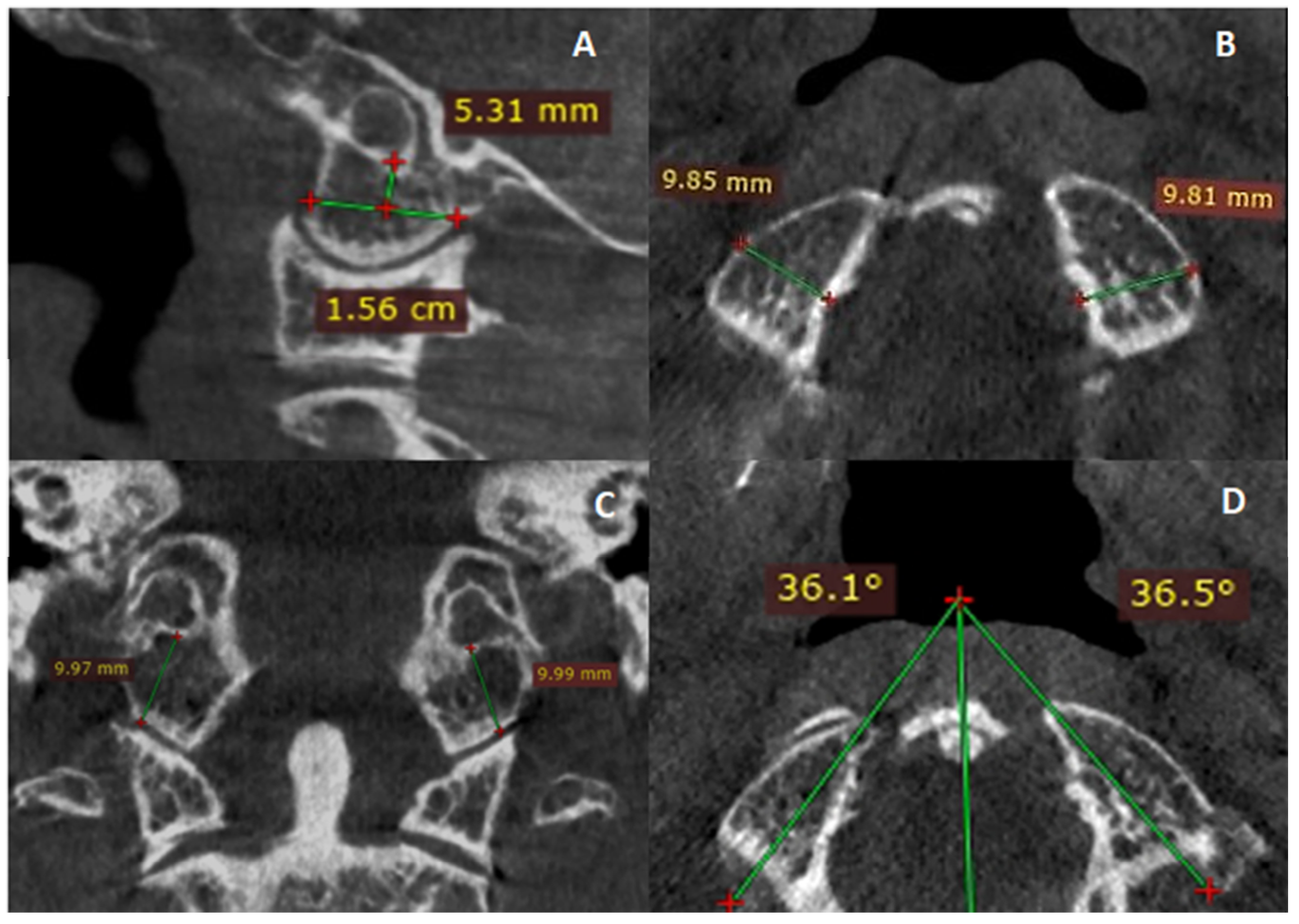 Diagnostics 14 02688 g001