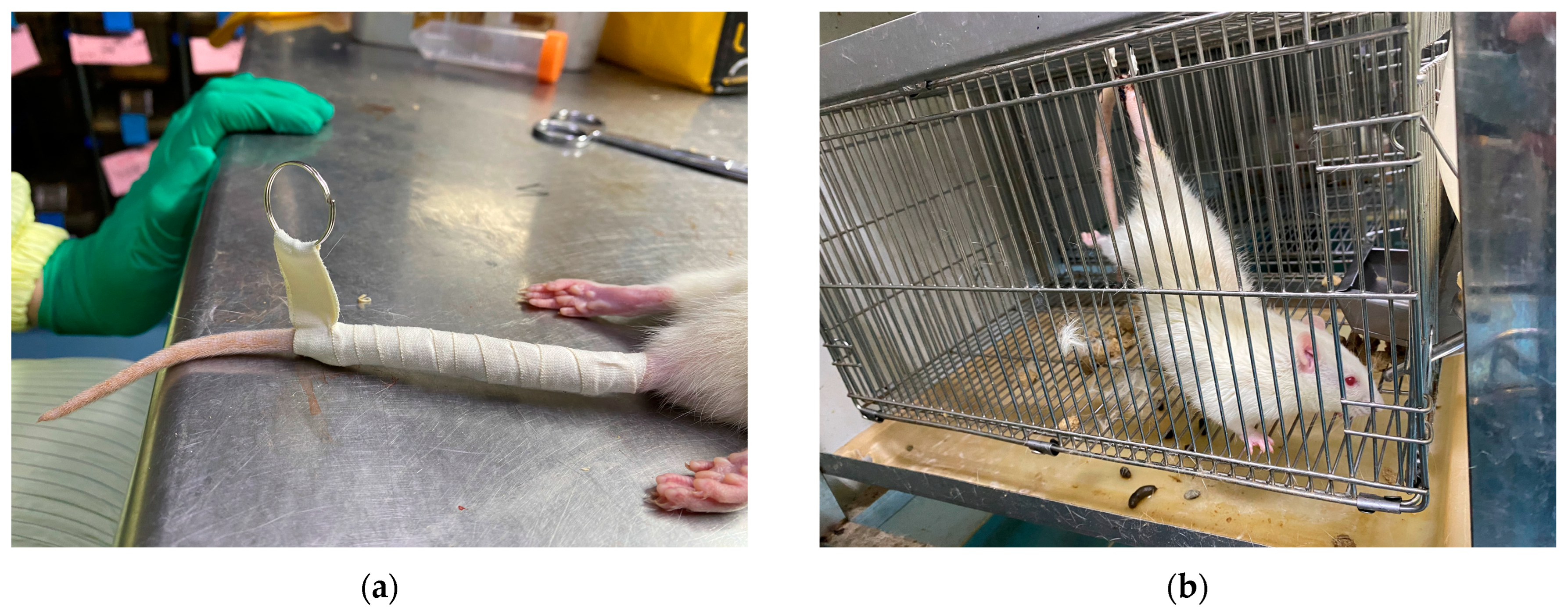 Diagnostics 14 02695 g001