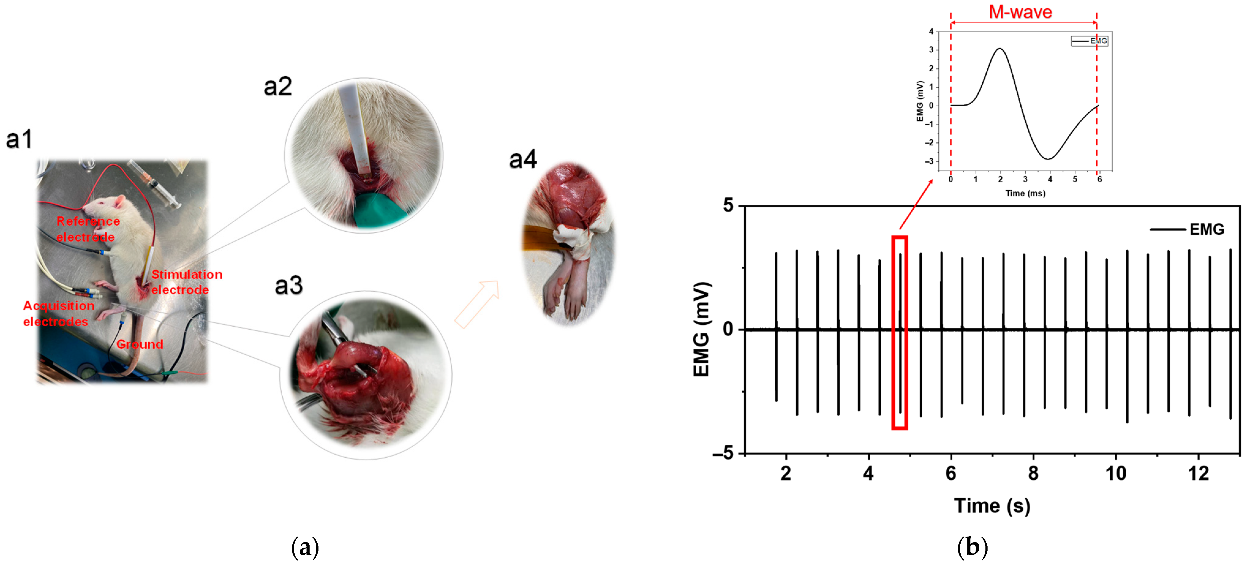 Diagnostics 14 02695 g003