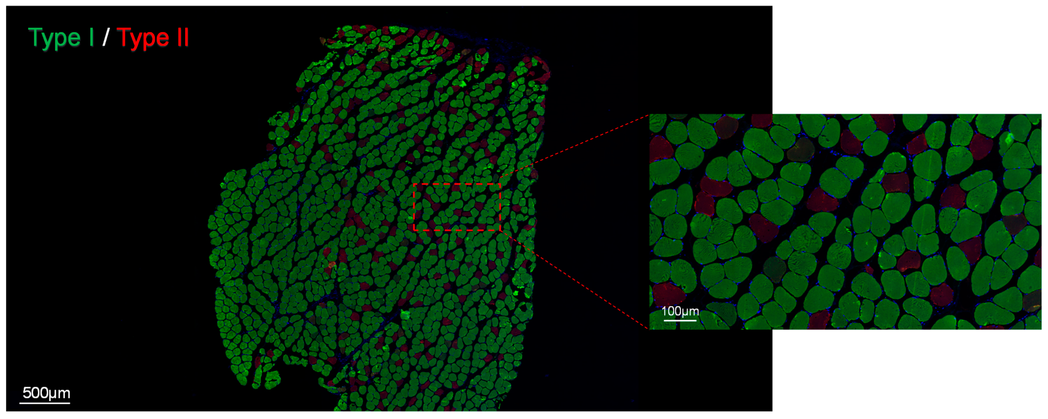 Diagnostics 14 02695 g004