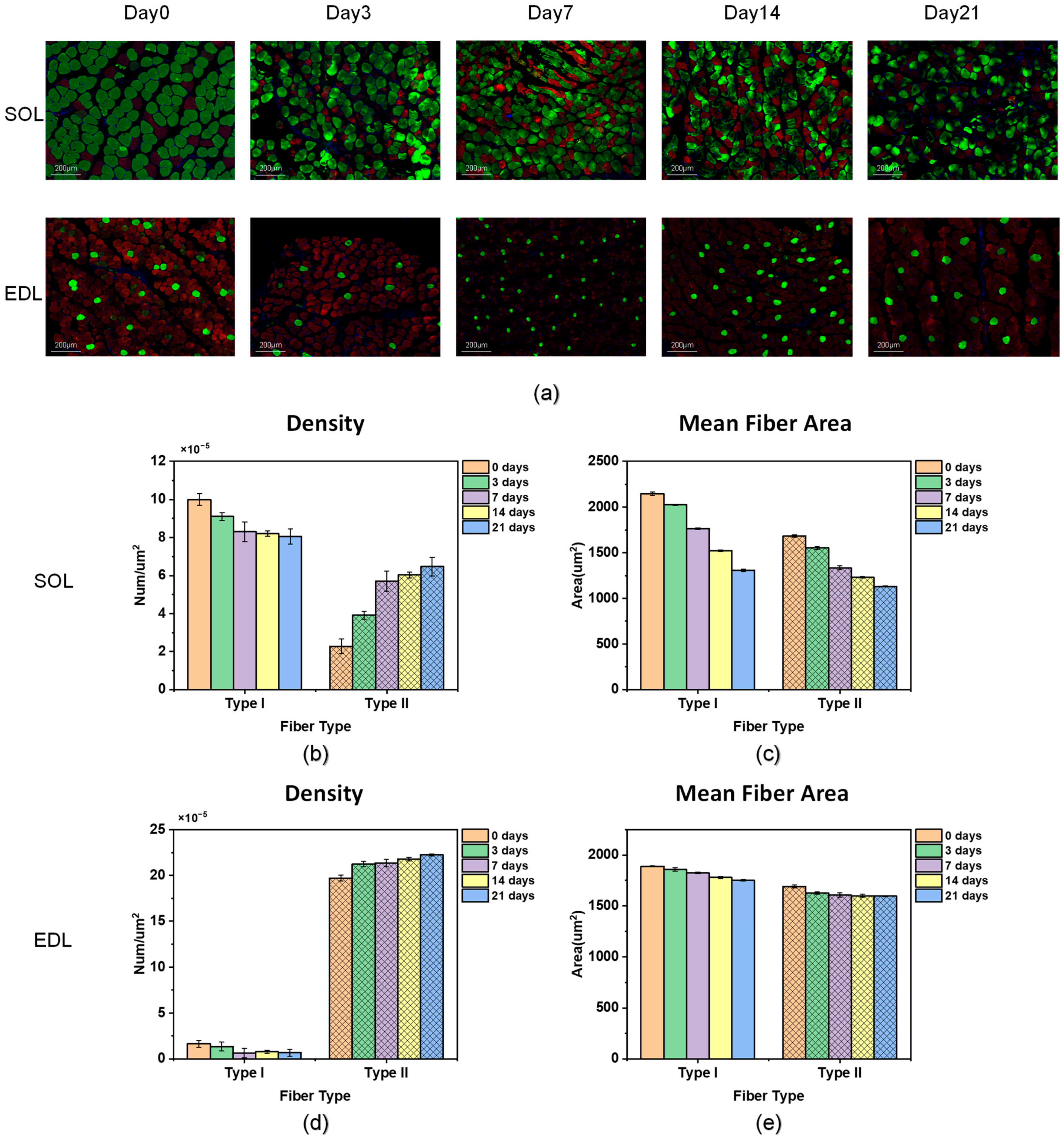 Diagnostics 14 02695 g005
