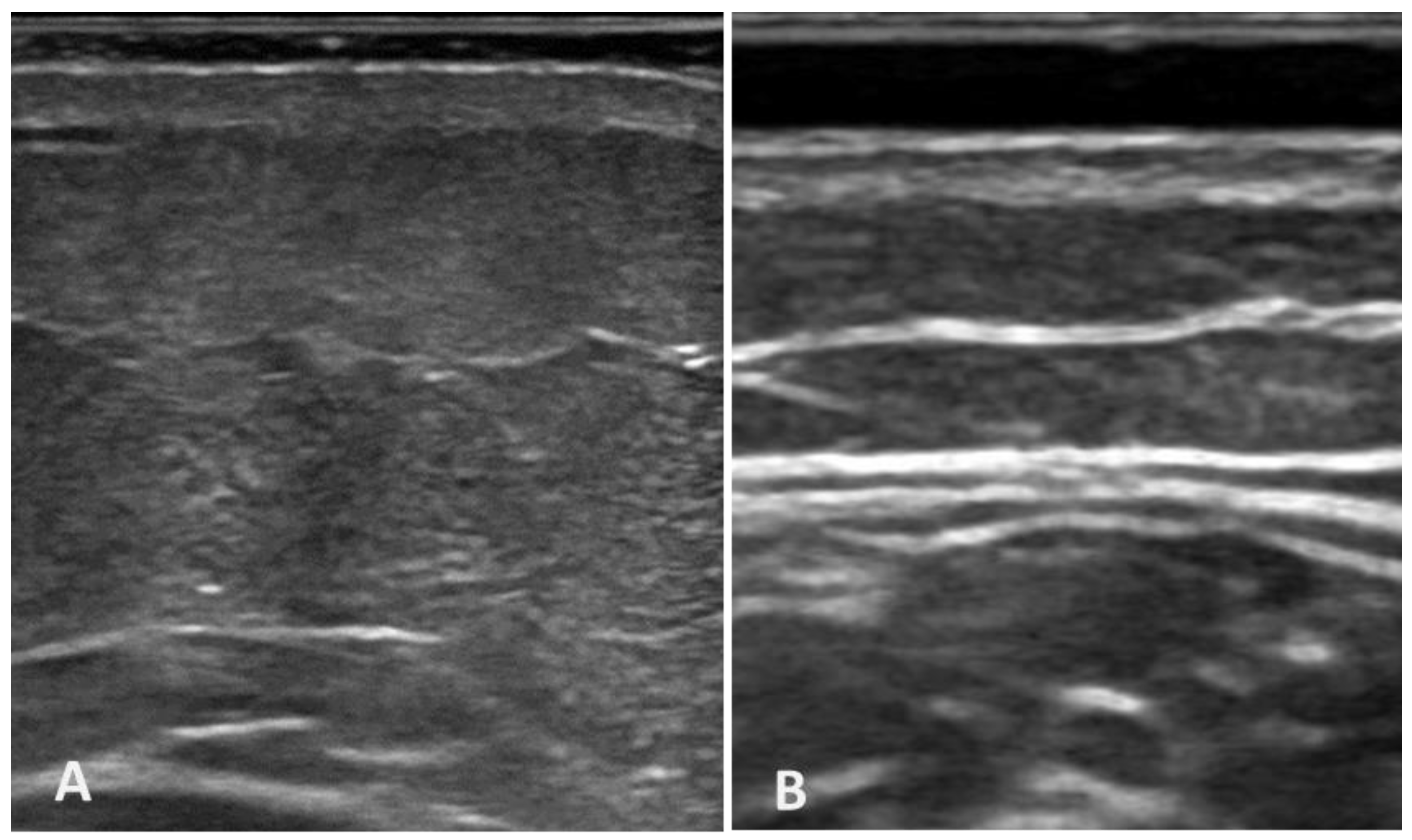 Diagnostics 14 02697 g005