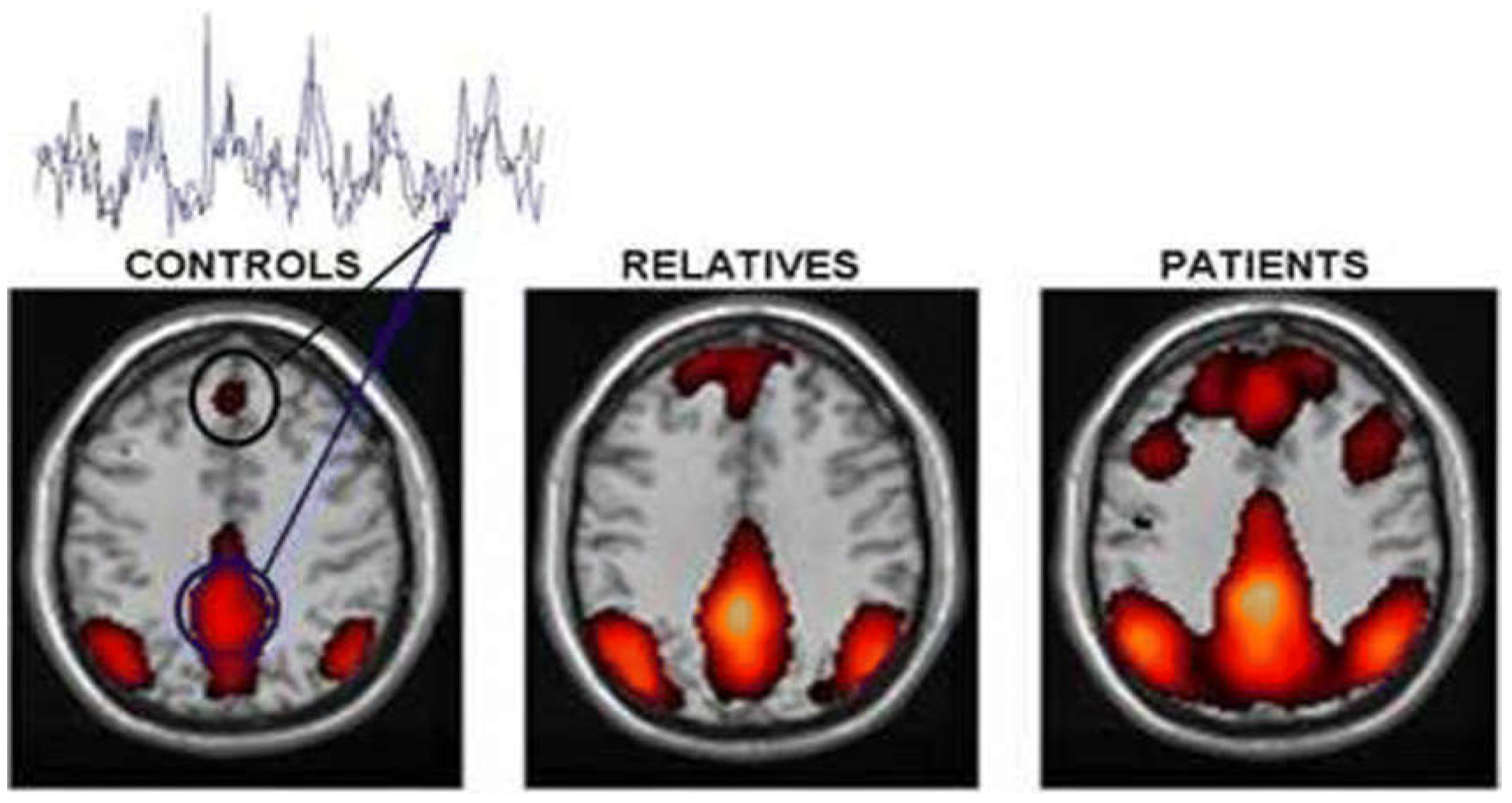 Diagnostics 14 02698 g020