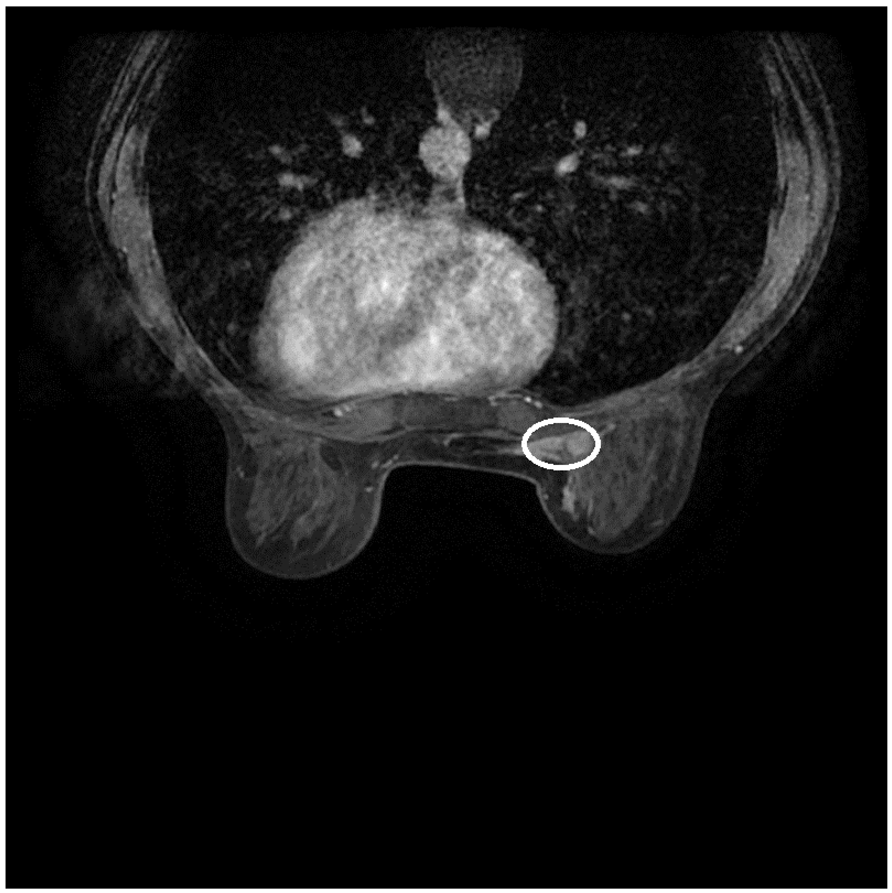 Diagnostics 14 02699 g001