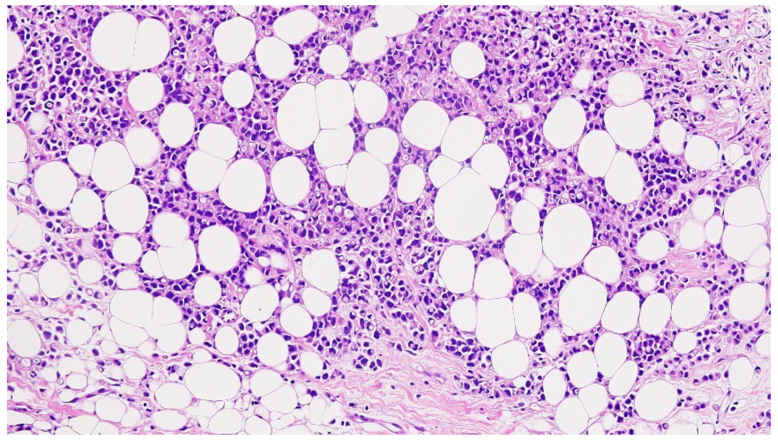 Diagnostics 14 02699 g002