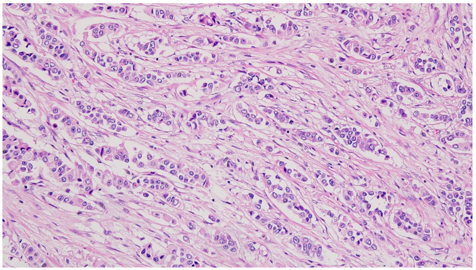 Diagnostics 14 02699 g003