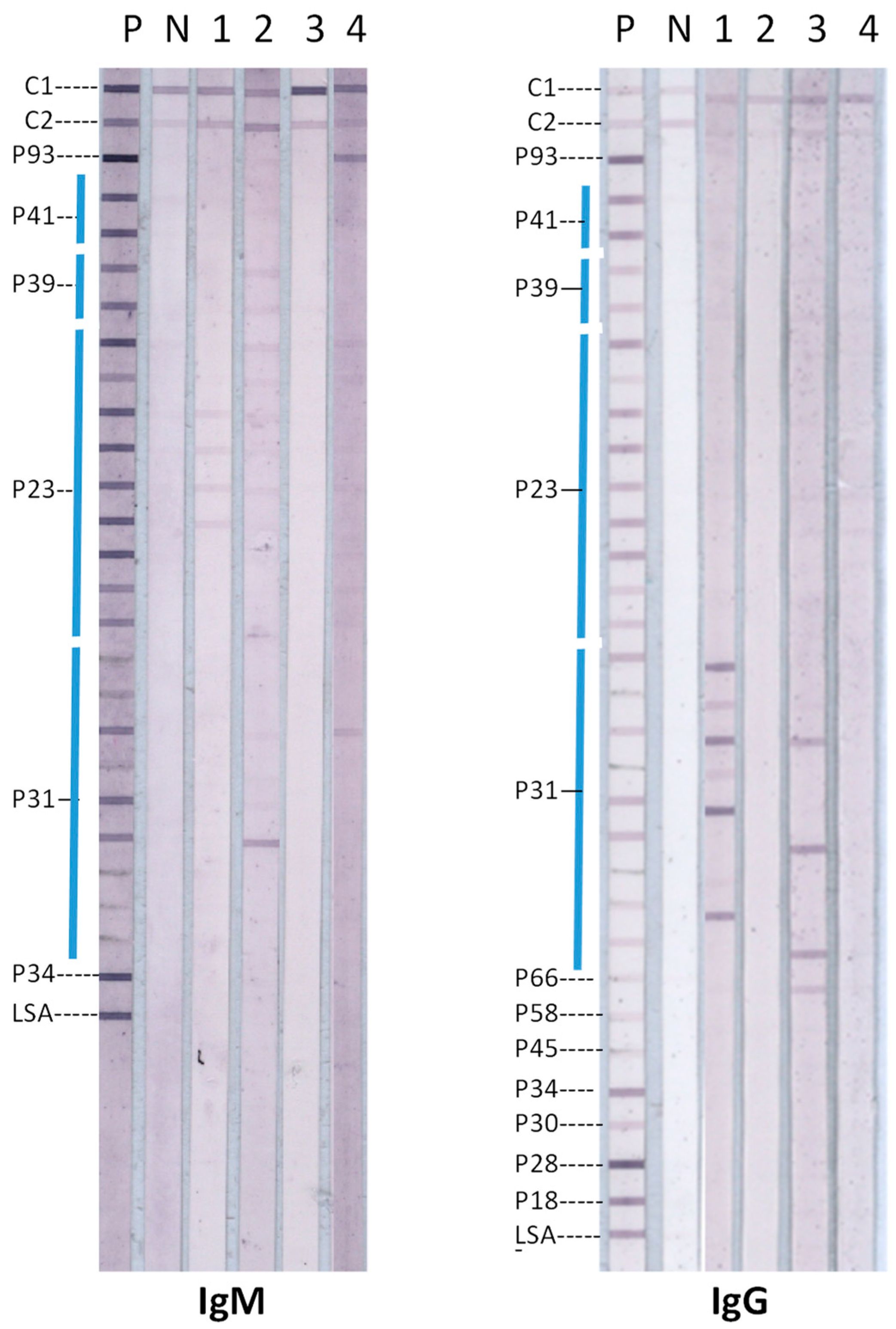 Diagnostics 14 02704 g001