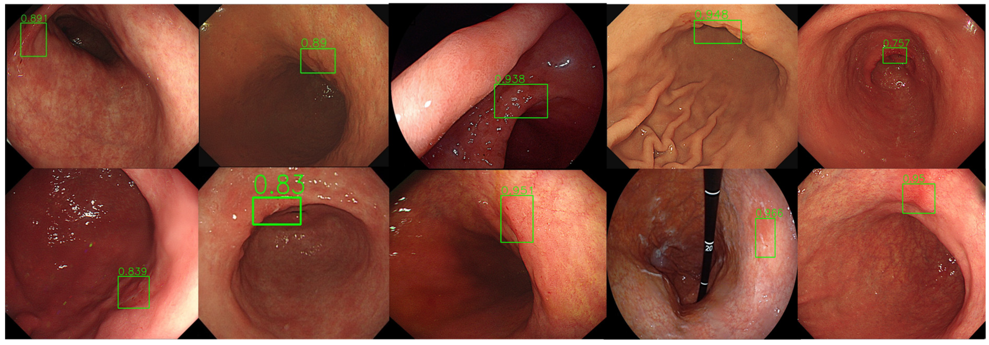 Diagnostics 14 02706 g004