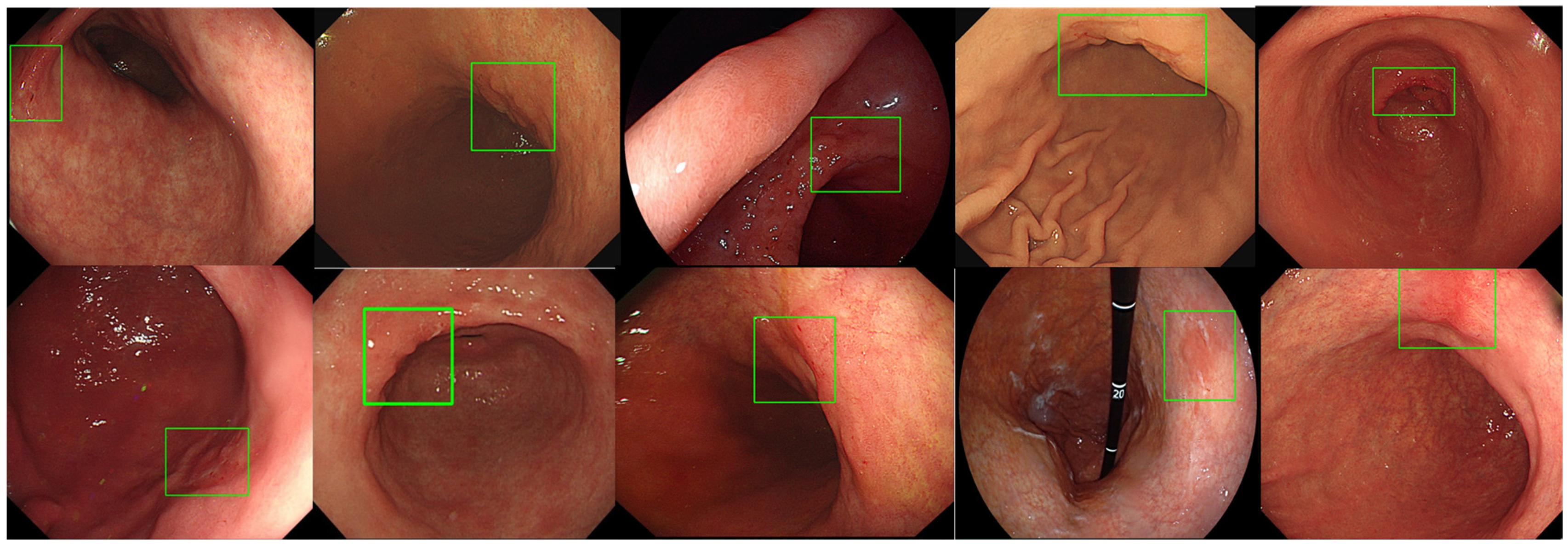 Diagnostics 14 02706 g006