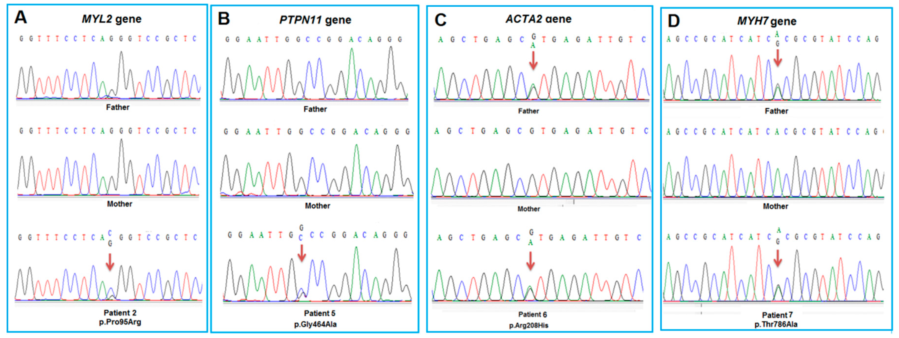 Diagnostics 14 02709 g001