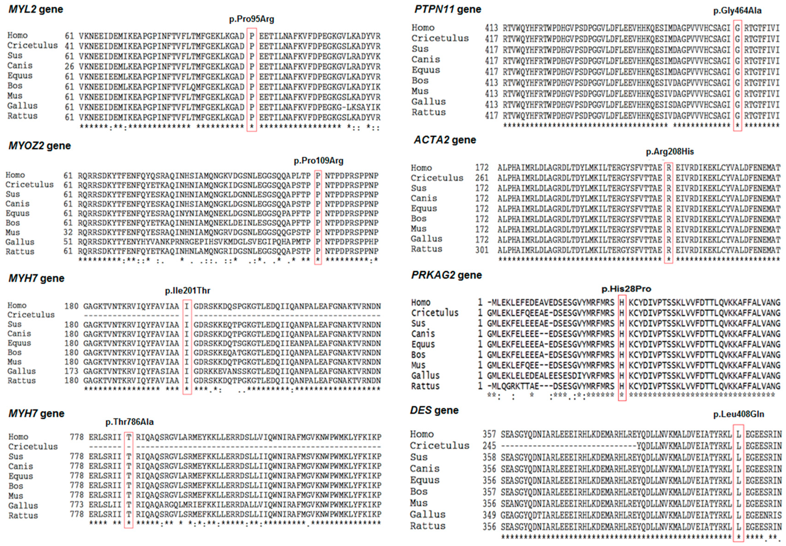 Diagnostics 14 02709 g002