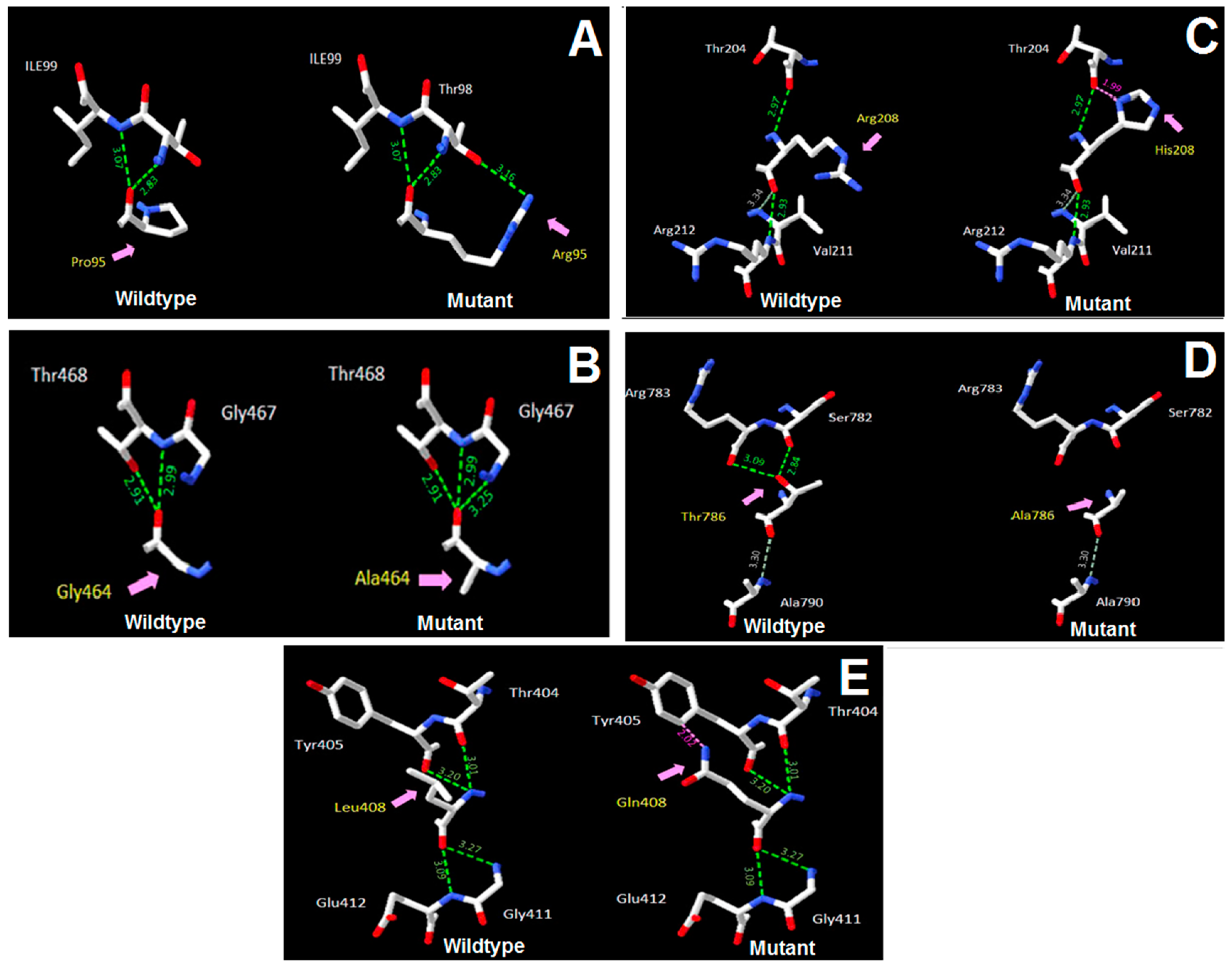 Diagnostics 14 02709 g003