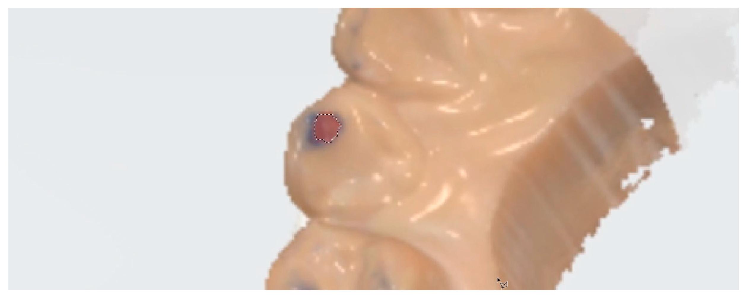 Diagnostics 14 02713 g002