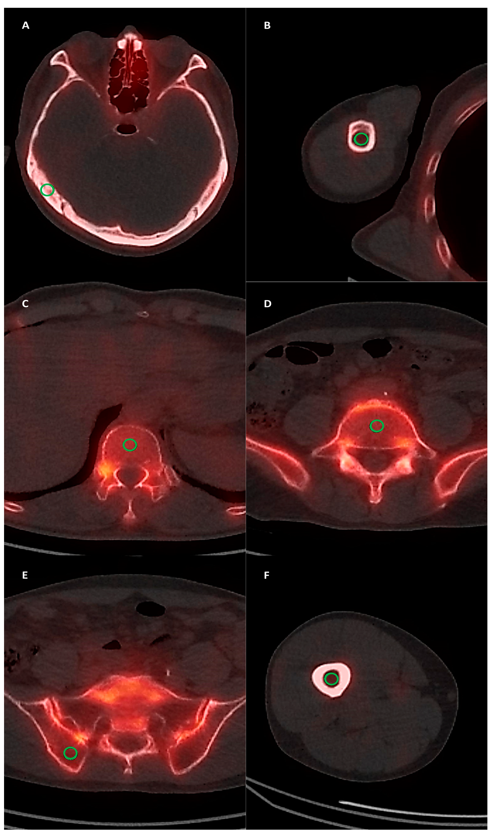 Diagnostics 14 02714 g001