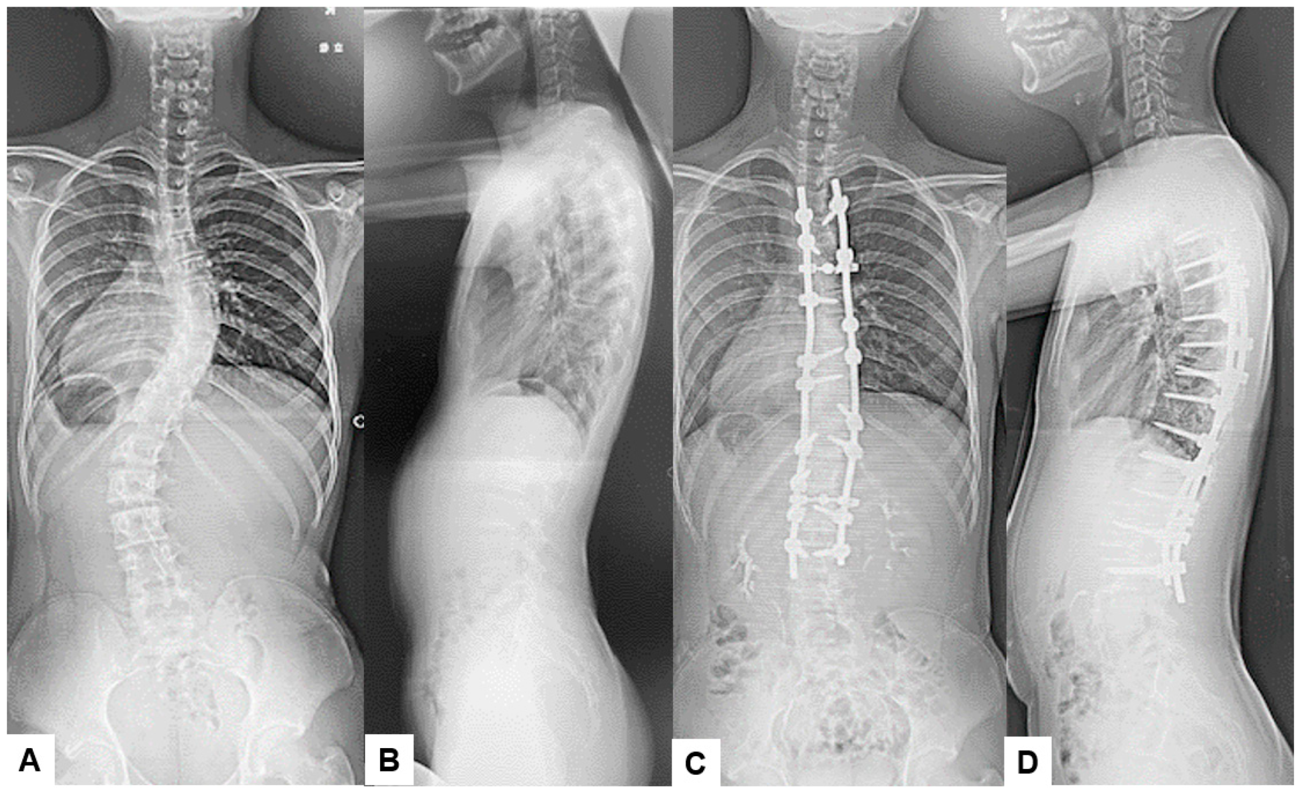 Diagnostics 14 02715 g003