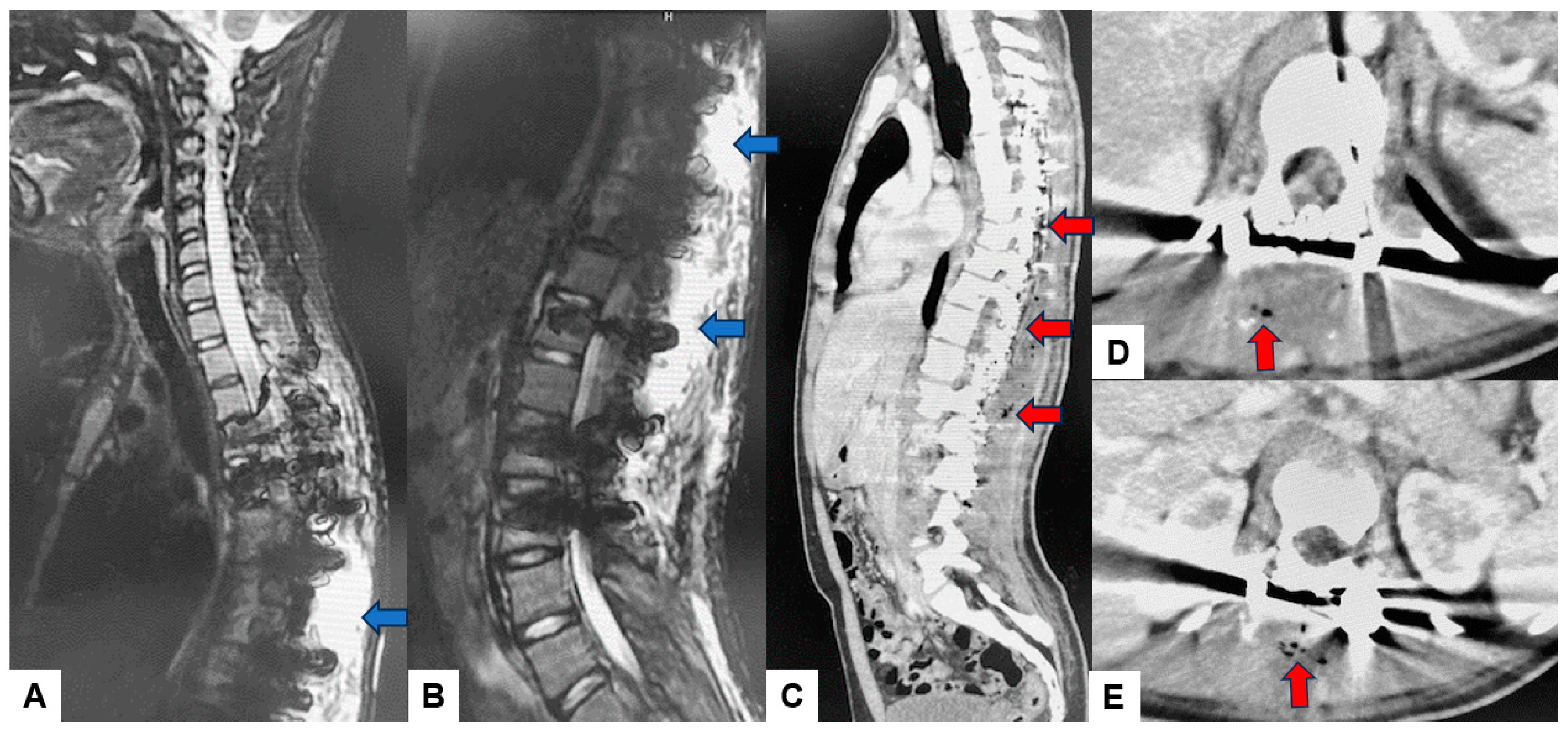 Diagnostics 14 02715 g004