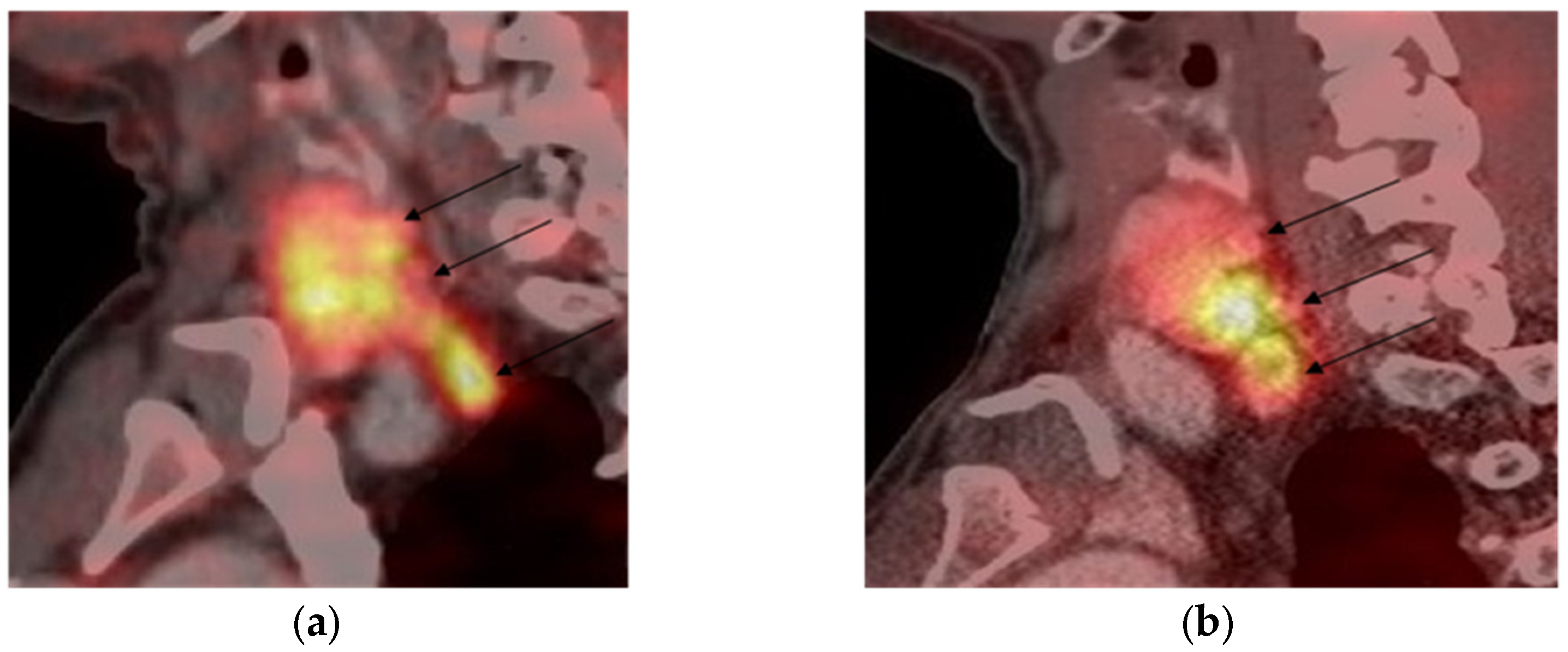 Diagnostics 14 02718 g003