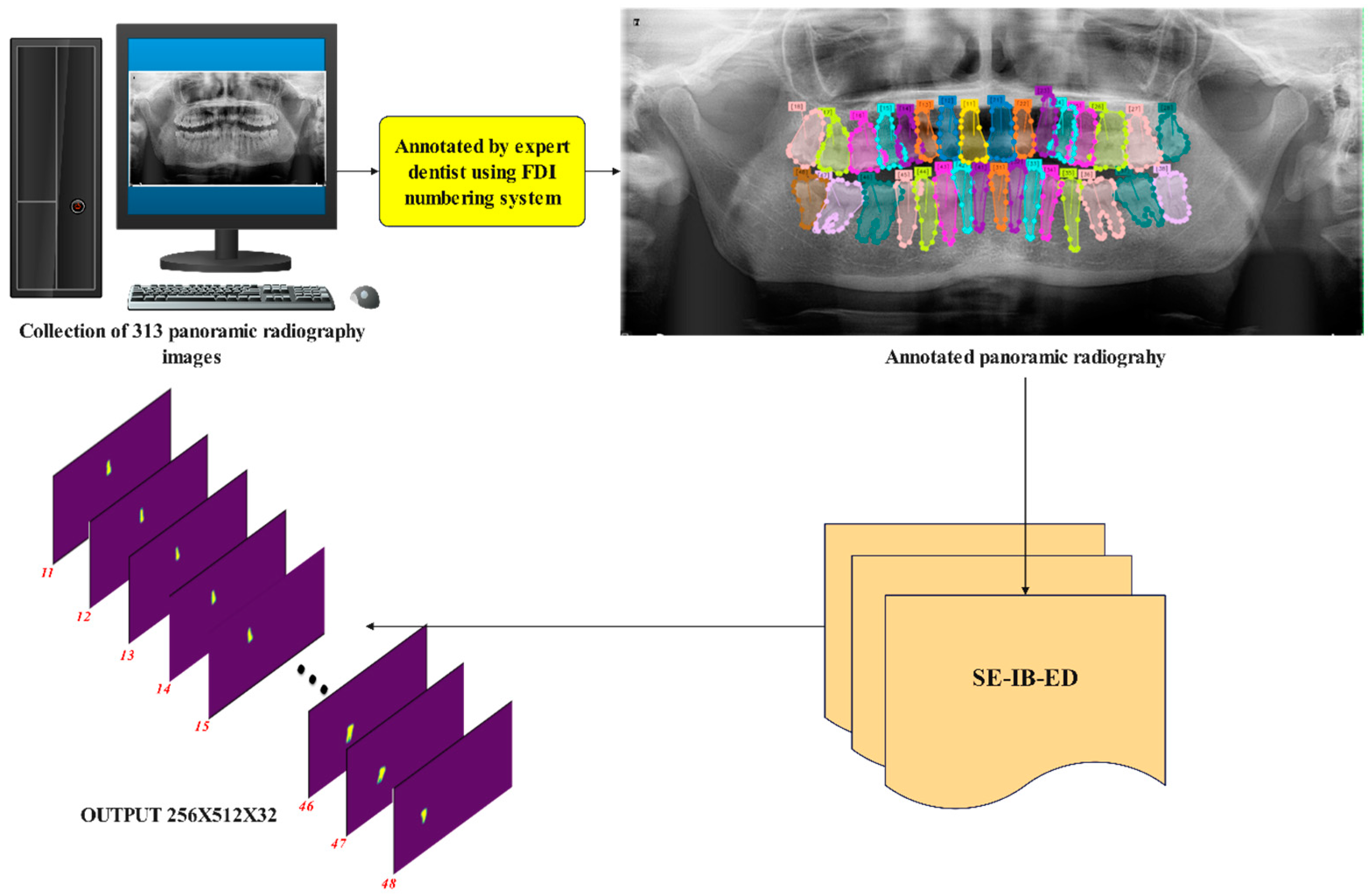 Diagnostics 14 02719 g001