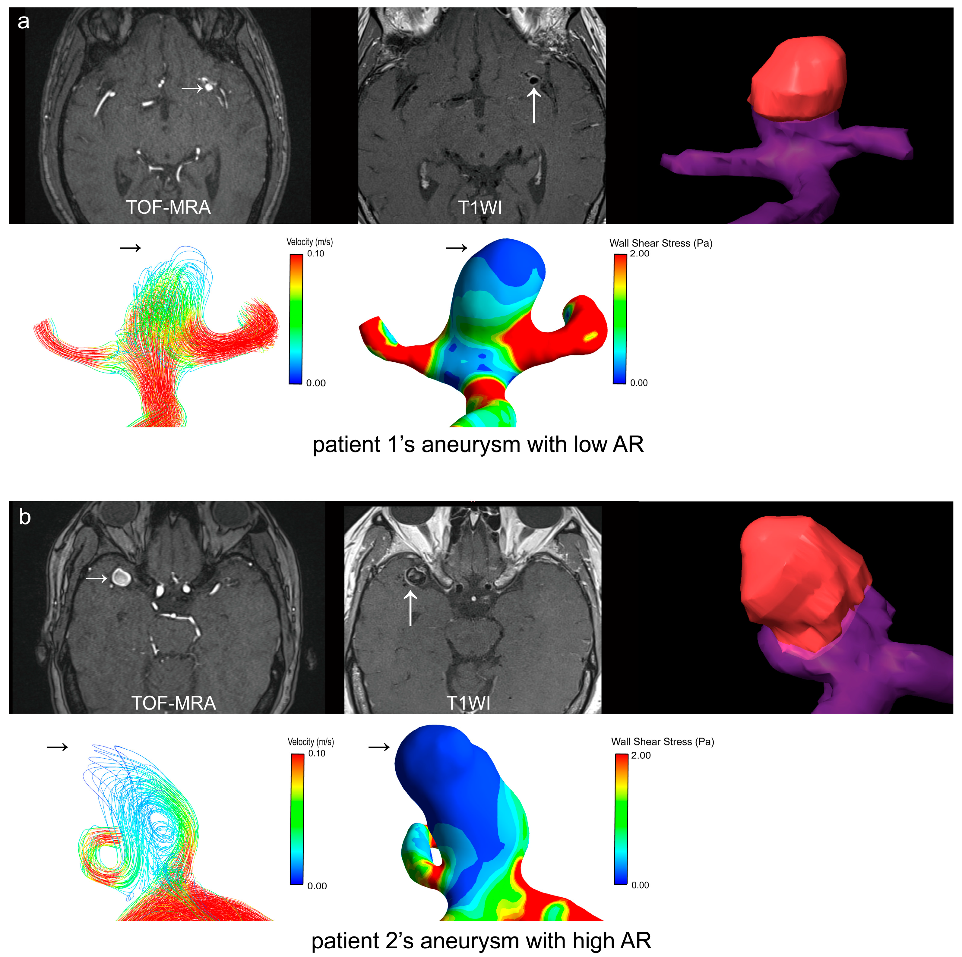 Diagnostics 14 02722 g003