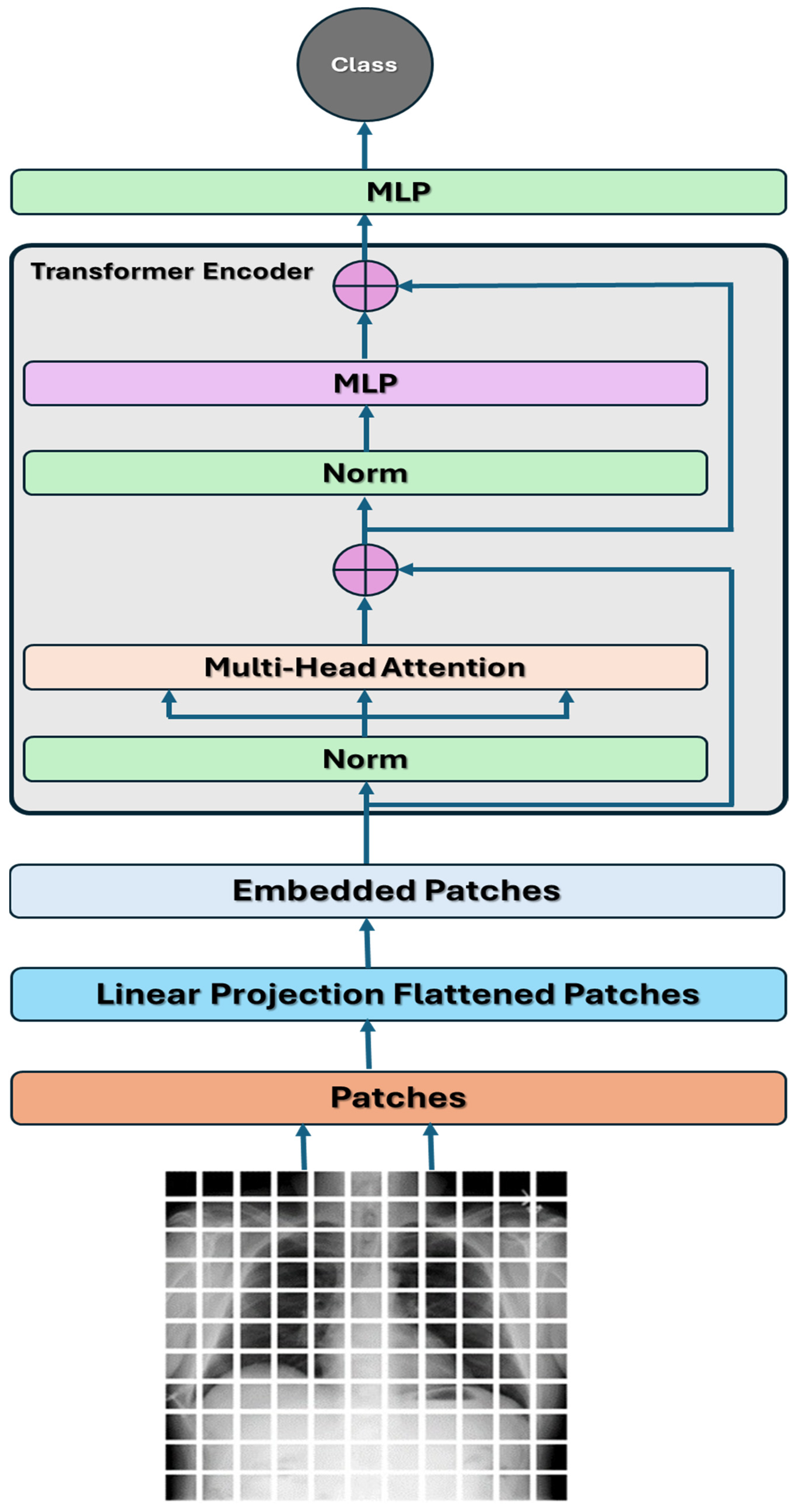Diagnostics 14 02736 g004