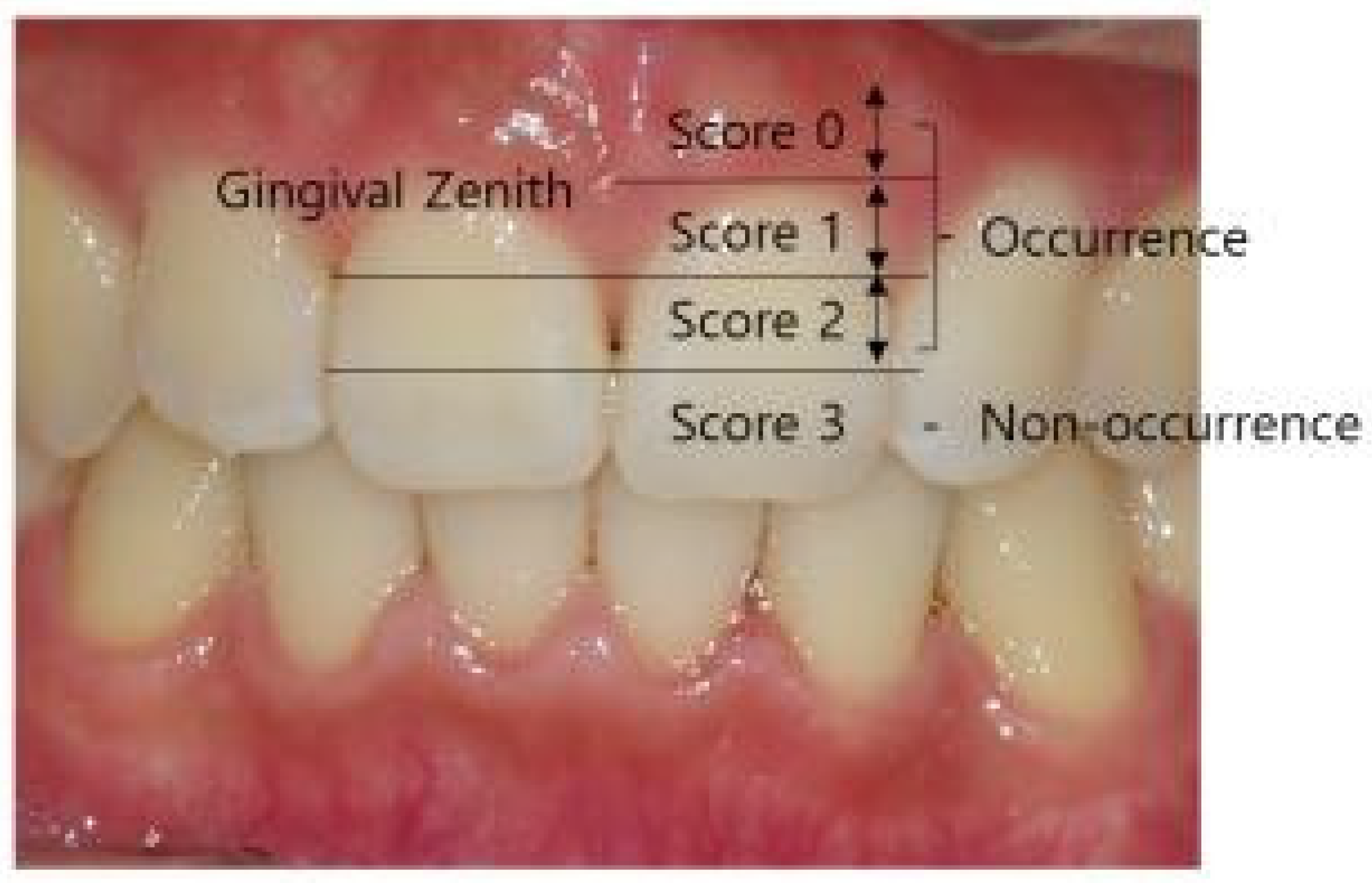 Diagnostics 14 02747 g001