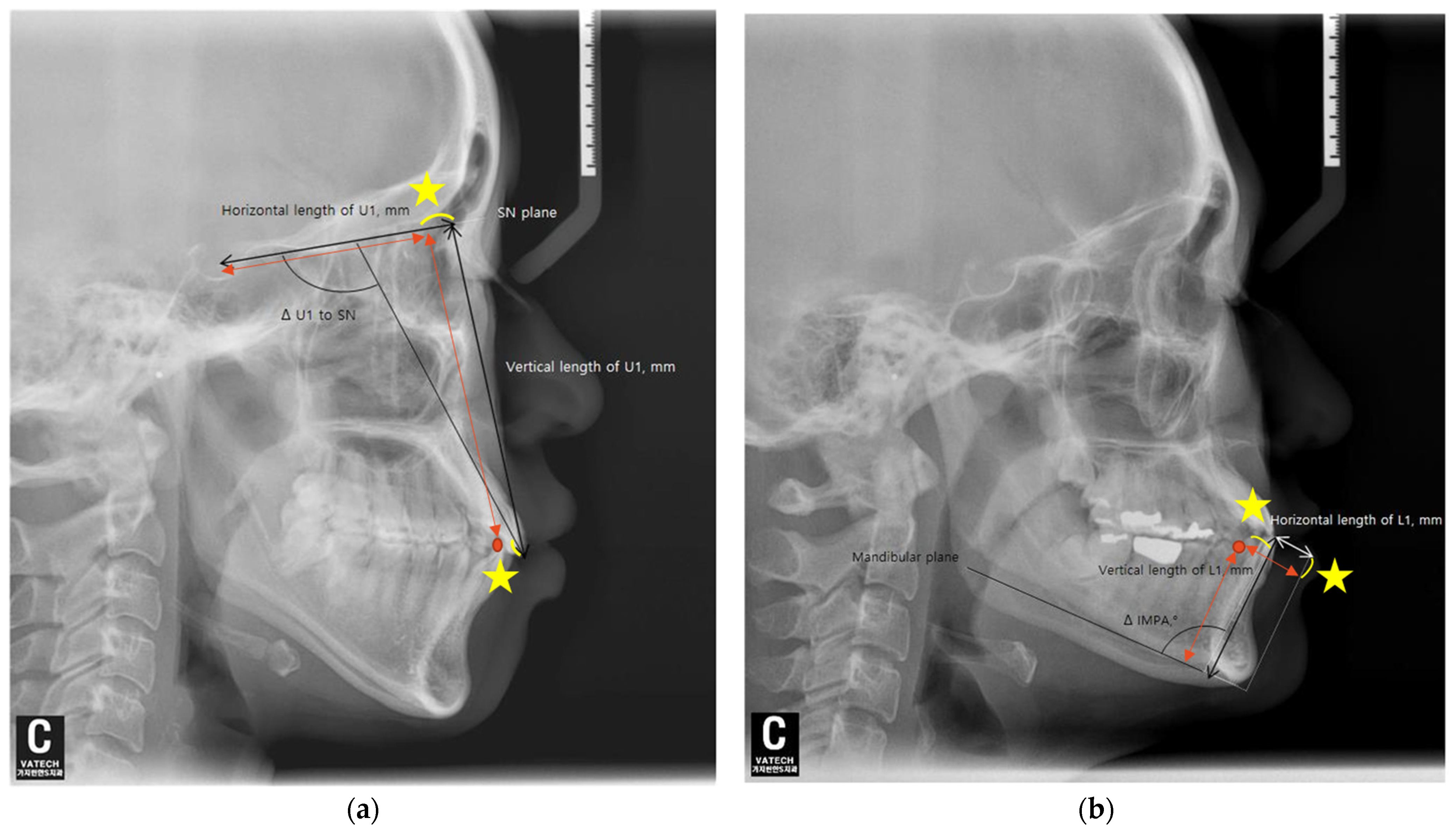 Diagnostics 14 02747 g002