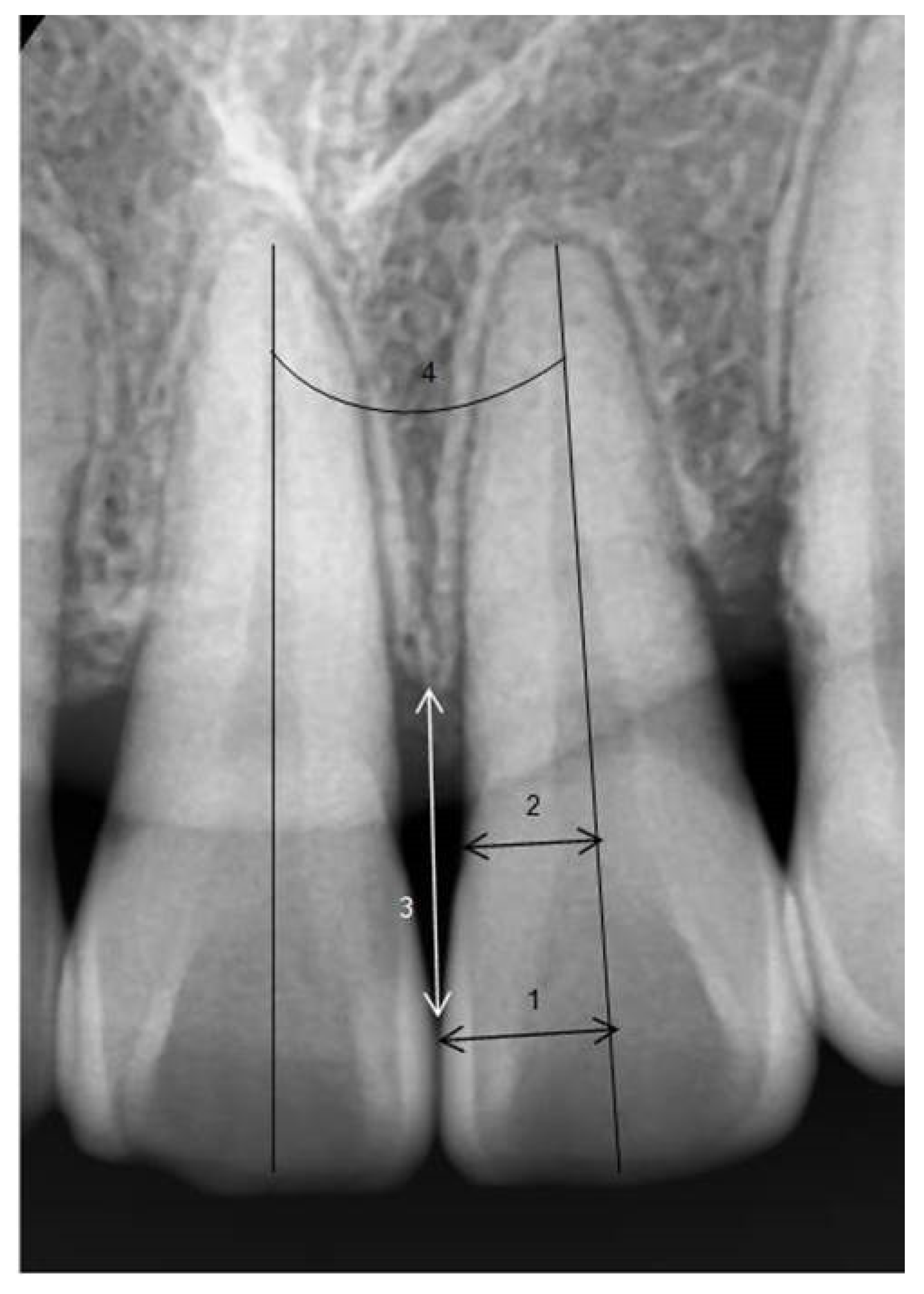 Diagnostics 14 02747 g003