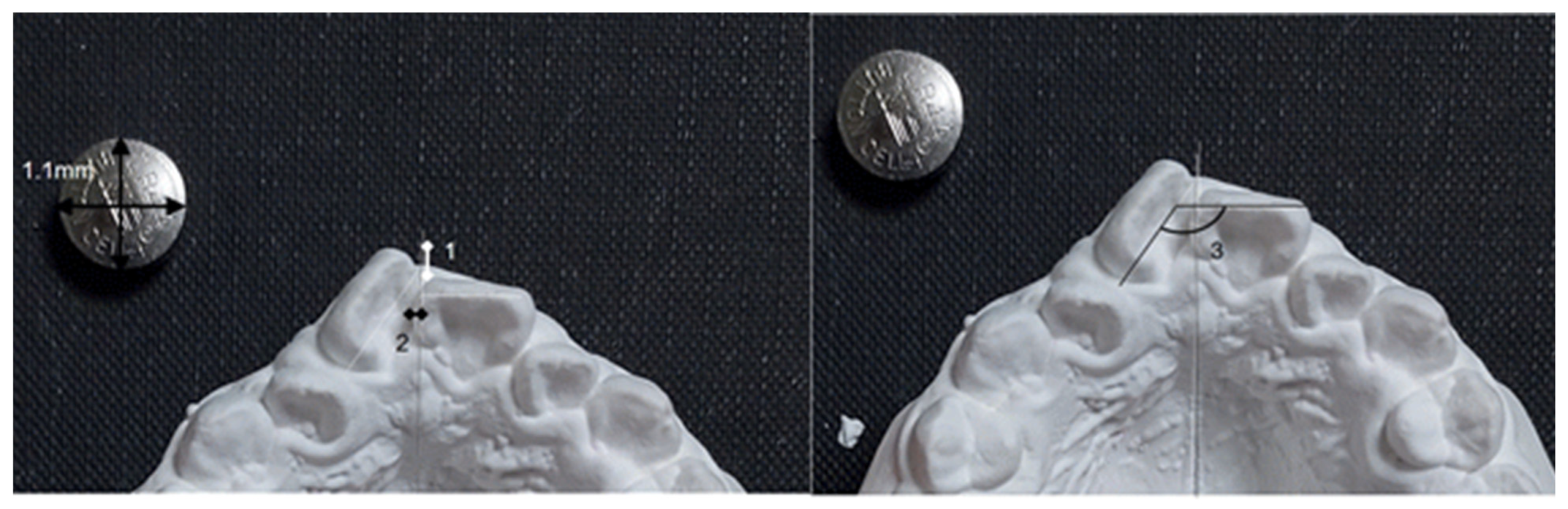 Diagnostics 14 02747 g004