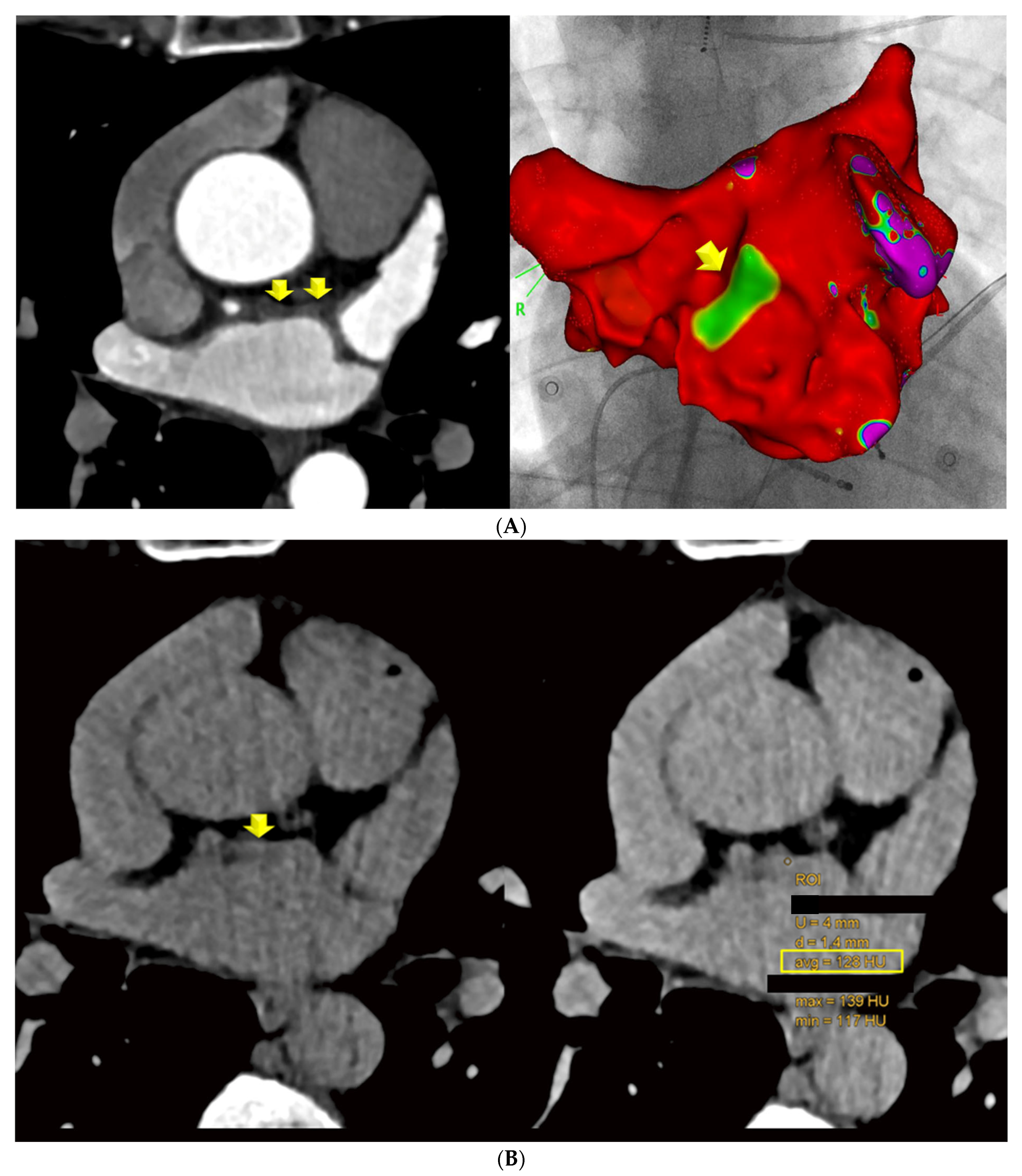 Diagnostics 14 02753 g005