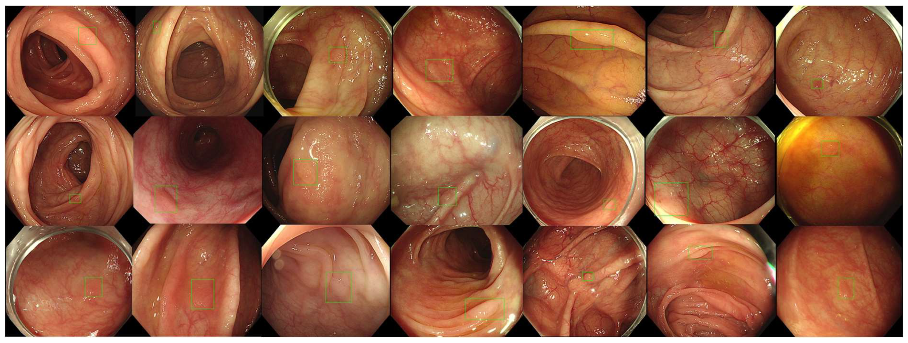 Diagnostics 14 02762 g004