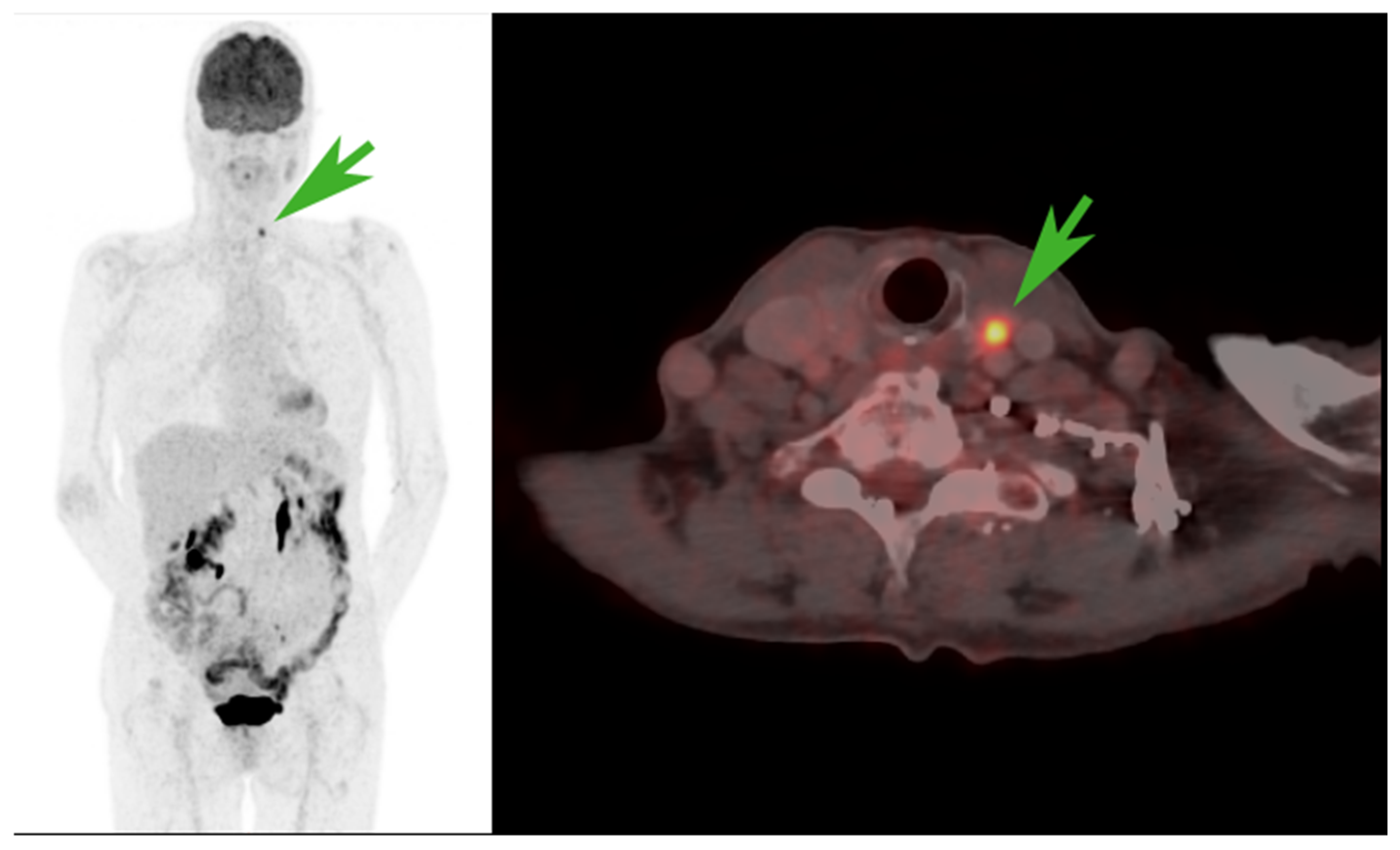 Diagnostics 14 02764 g002