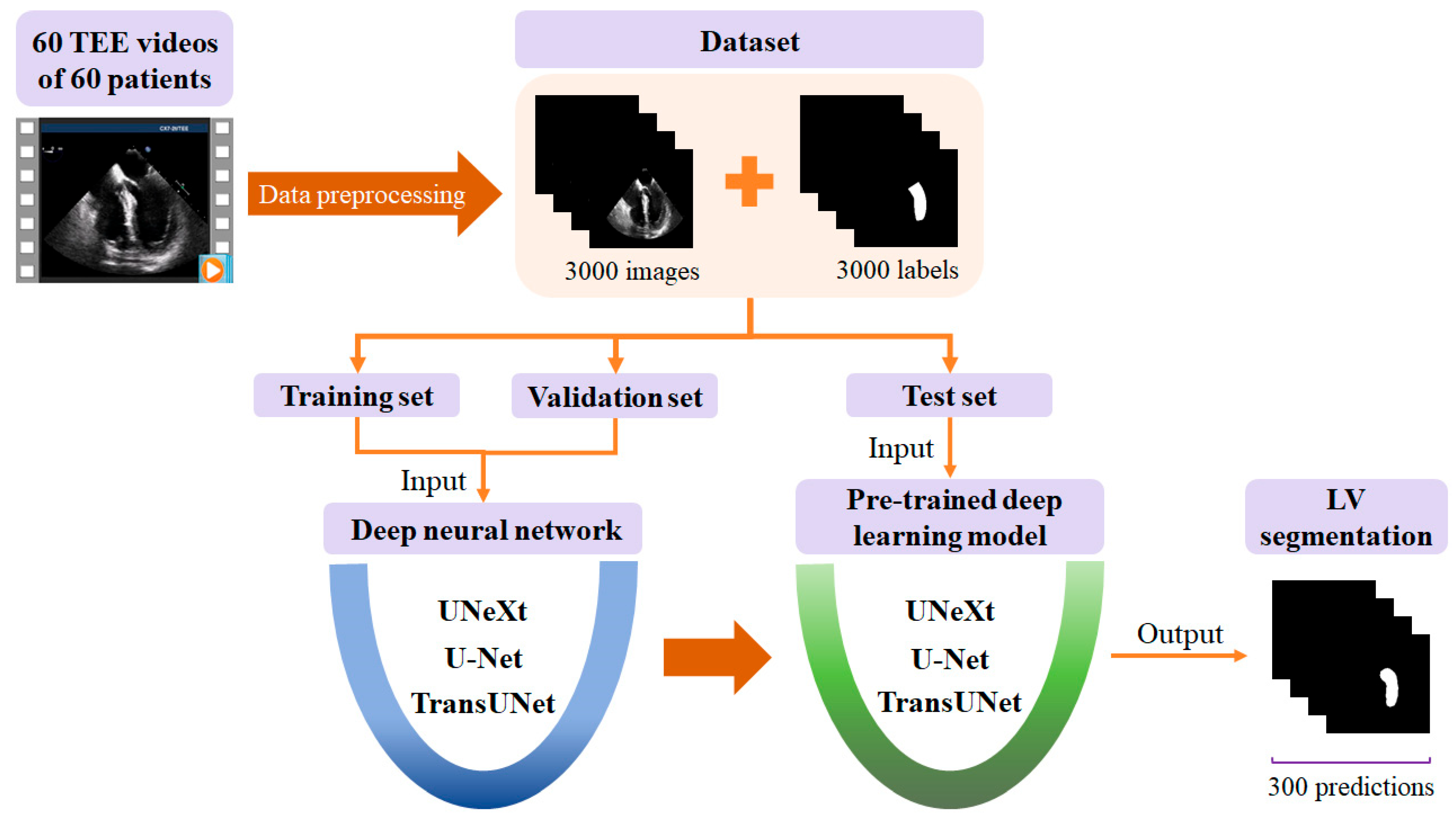 Diagnostics 14 02766 g001