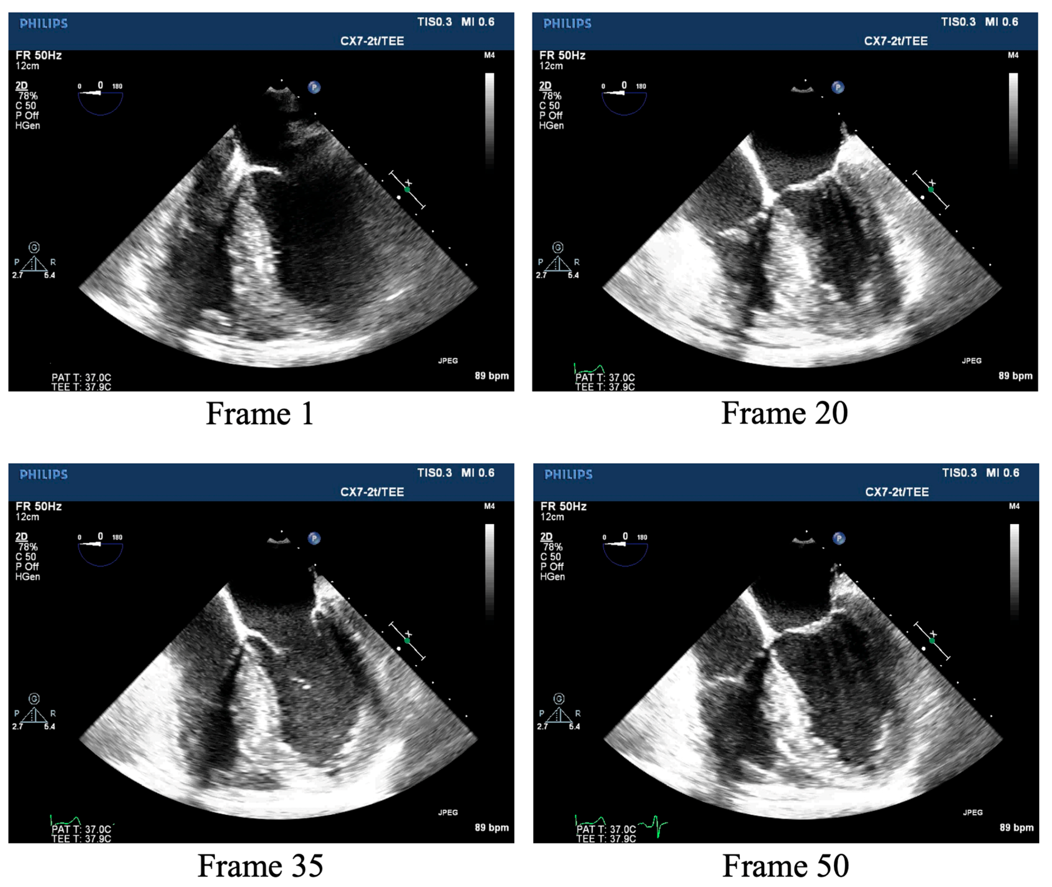 Diagnostics 14 02766 g002