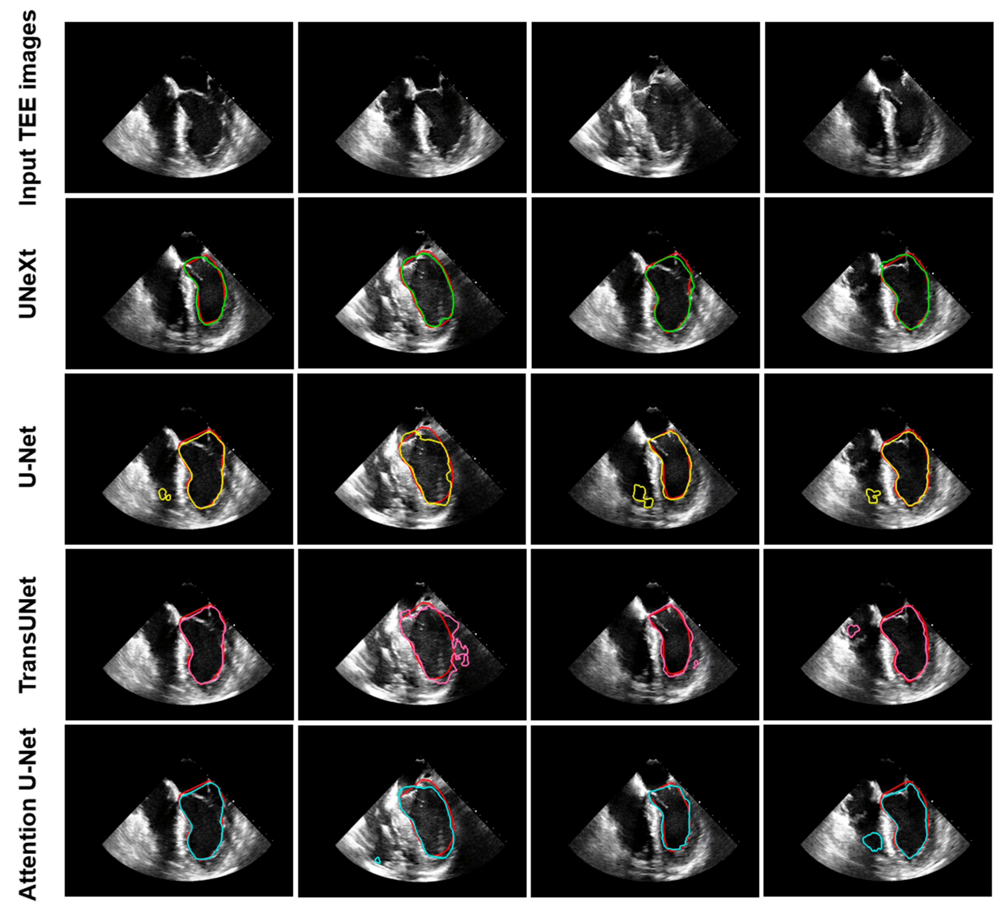 Diagnostics 14 02766 g011