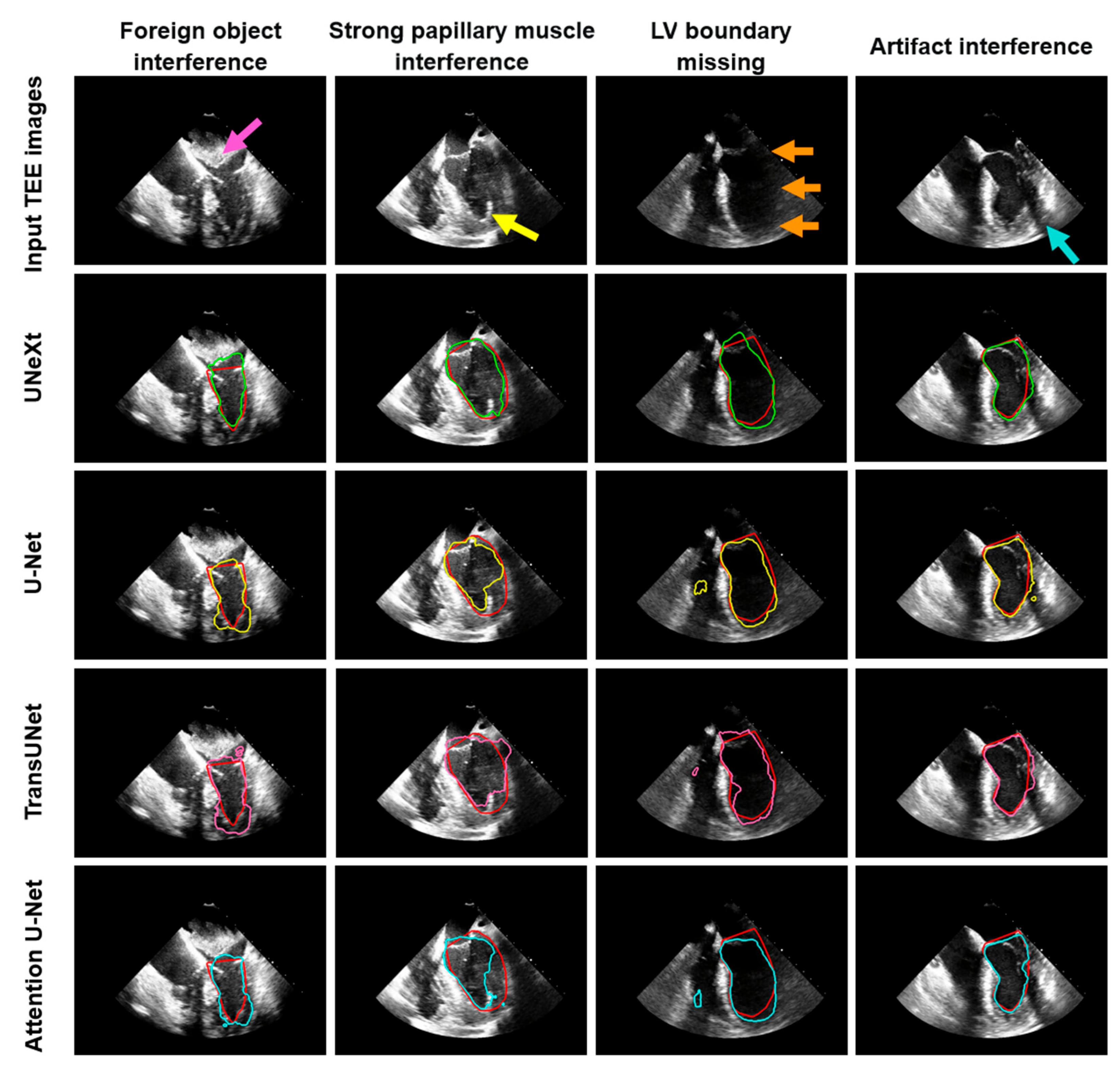 Diagnostics 14 02766 g012