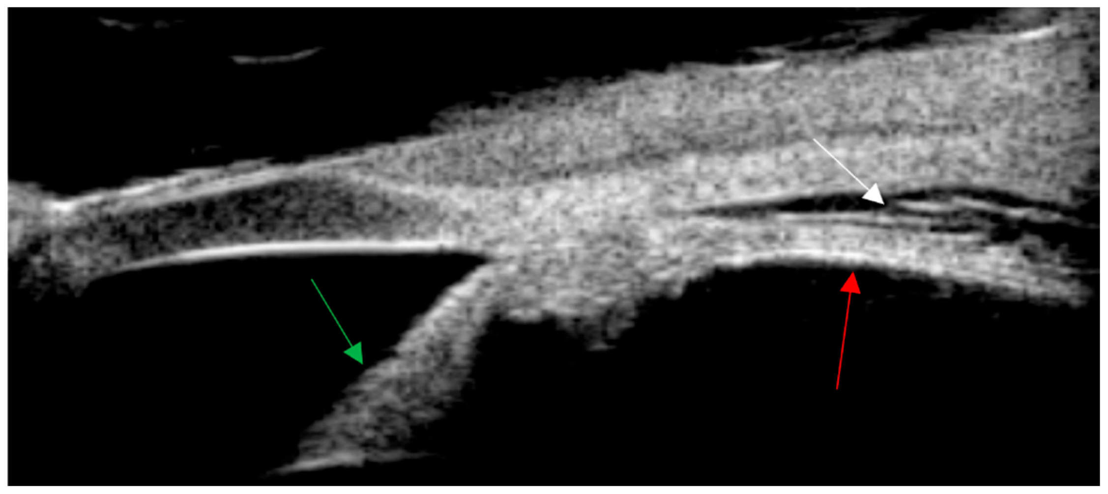 Diagnostics 14 02767 g002