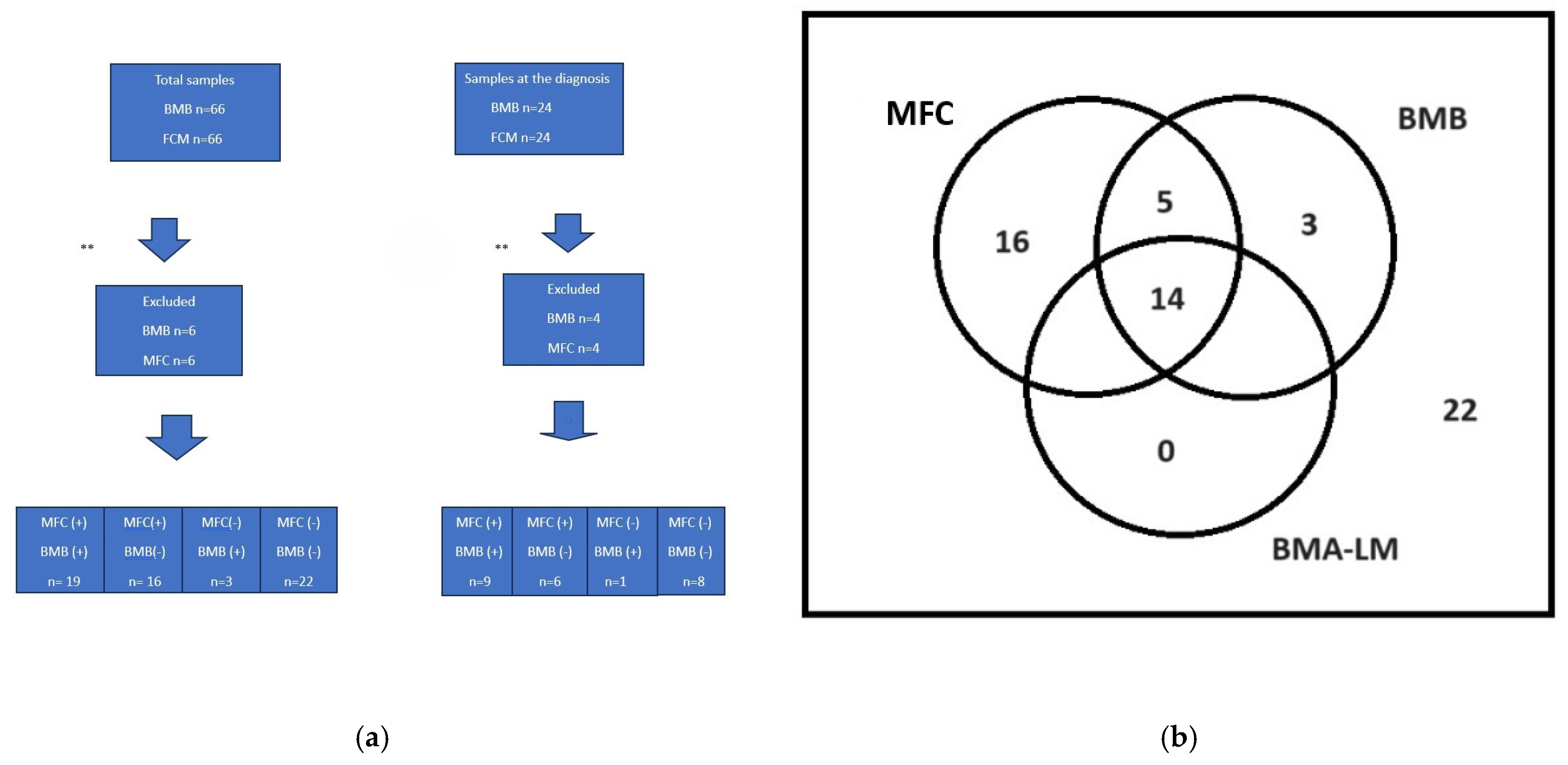 Diagnostics 14 02776 g003