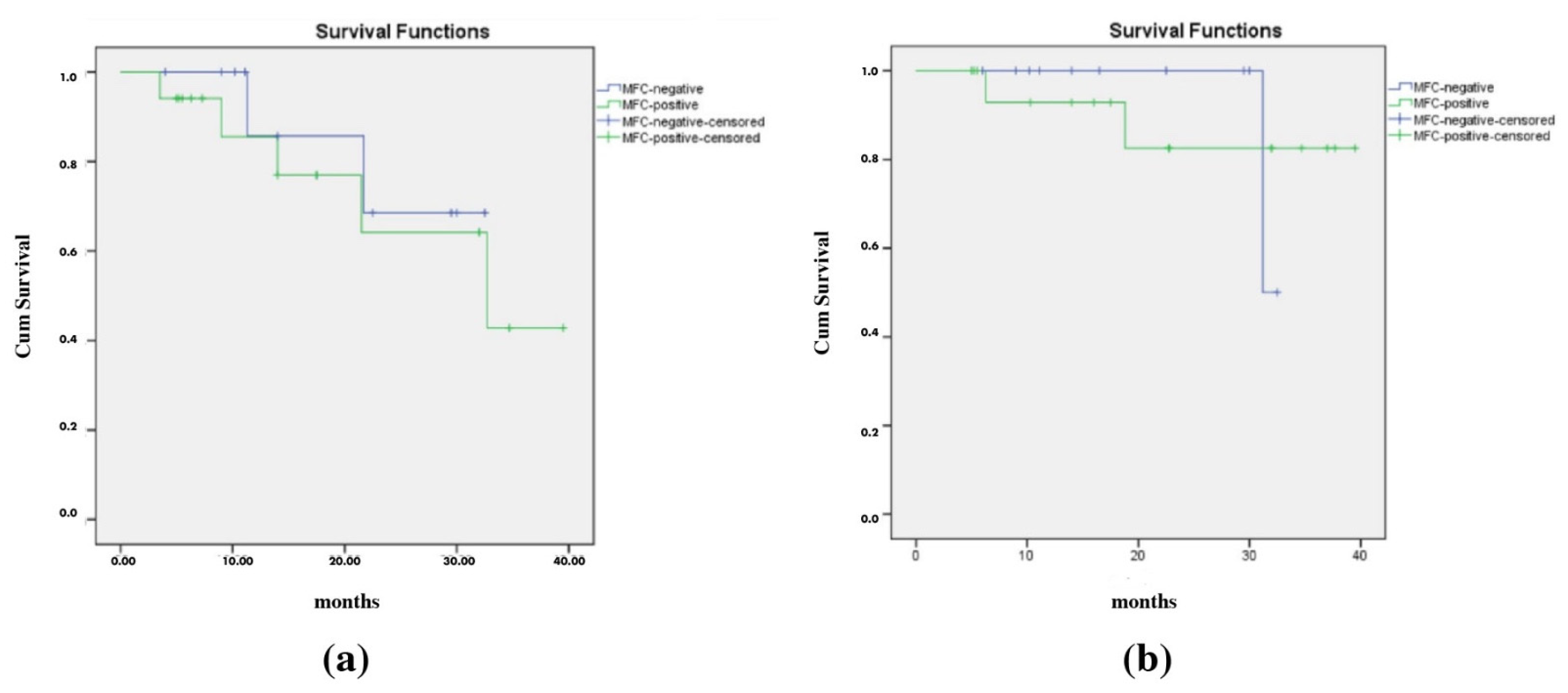 Diagnostics 14 02776 g004